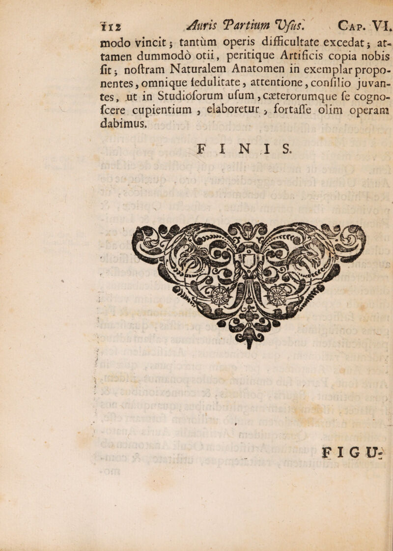 modo vincit i tantum operis difficultate excedat; at¬ tamen dummodo otii, peritique Artificis copia nobis fit; noftram Naturalem Anatomen in exemplar propo¬ nentes, omnique ledulitate, attentione, confilio juvan¬ tes, ut in Studioforum ufum , exterorumque fe cogno- fcere cupientium , elaboretur * fortaffe olim operam dabimus. F I N I S. FIGU;