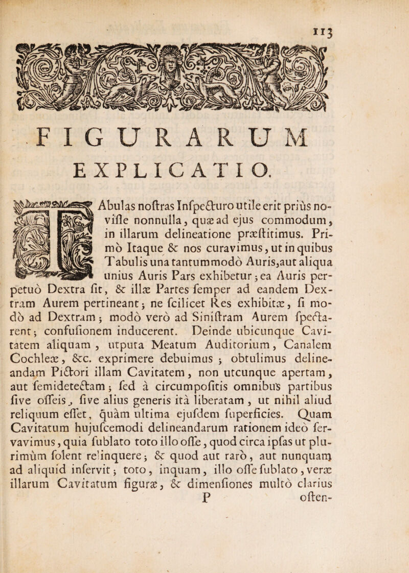 EXPLICATIO. Abulas noftras Infpefturo mile erit prius no» ville nonnulla 5 quae ad ejus commodum, in illarum delineatione praeftitimus. Pri¬ mo Itaque & nos curavimus, ut in quibus Tabulis una tantummodo Auris,aut aliqua unius Auris Pars exhibetur 5 ea Auris per¬ petuo Dextra fit, & i[\x Partes femper ad eandem Dex¬ tram Aurem pertineant; ne fcilicet Res exhibitae, fi mo¬ do ad Dextram; modo vero ad Siniftram Aurem fpefta- rent; confufionem inducerent. Deinde ubicunque Cavi¬ tatem aliquam , utputa Meatum Auditorium, Canalem Cochleae, &c. exprimere debuimus ; obtulimus deline¬ andam Piftori illam Cavitatem, non utcunque apertam, aut femideteftam; fed a circumpofitis omnibus partibus five ofleis., fi ve alius generis ita liberatam , ut nihil aliud reliquum effet, quam ultima ejufdem fuperficies. Quam Cavitatum hujufcemodi delineandarum rationem ideo fer- vavimus, quia fublato toto illo ode, quod circa ipfas ut plu¬ rimum folent relinquere; & quod aut raro, aut nunquanj ad aliquid infervit; toto, inquam, illo offe fublato , verae illarum Cavitatum fieurae, & dimenfiones multo clarius P often-