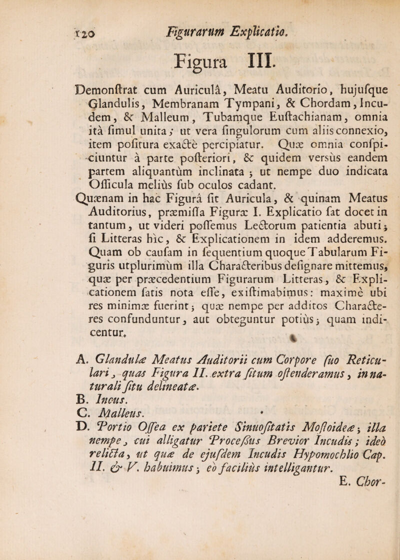 Figura III. Bemonftrat cum Auricula, Meatu Auditorio, hujufque Glandulis, Membranam Tympani, & Chordam,Incu¬ dem, & Malleum, Tubamque Euftachianam, omnia ita fimul unita/ ut vera fingulorum cum aliis connexio, item pofitura exaCte percipiatur. Quae omnia confpi- ciuntur a parte pofteriori, & quidem versus eandem partem aliquantum inclinata > ut nempe duo indicata Officula melius fub oculos cadant. Quaenam in hac Figura fit Auricula, & quinam Meatus Auditorius, praemifia Figurae I. Explicatio fat docet in tantum, ut videri poflemus LeCtorum patientia abuti* fi Litteras hic, & Explicationem in idem adderemus. Quam ob caufam in fequentium quoque Tabularum Fi¬ guris utplurimum illa Characteribus defignare mittemus, quae per praecedentium Figurarum Litteras, & Expli¬ cationem fatis nota efle, exiftimabimus: maxime ubi res minimae fuerint5 qu^e nempe per additos CharaCte- res confunduntur, aut obteguntur potius$ quam indi¬ centur, % A. Glandula Meatus Auditorii cum Corpore fuo Reticu¬ lari j quas Figura II, extra /itum ojlenderamus, in na¬ turali Jitu delineat a. B. Incus. C. Malleus. D. ‘Portio Ojfea ex pariete Sinuofitatis Mofoidea illa nempe > cui alligatur Proce/Ius Brevior Incudis ; ideo relitia, at qua de ejufdem Incudis Hypomochlio Cap. II. & V\ habuimus 5 eo facilius intelligantur. E. Chor-