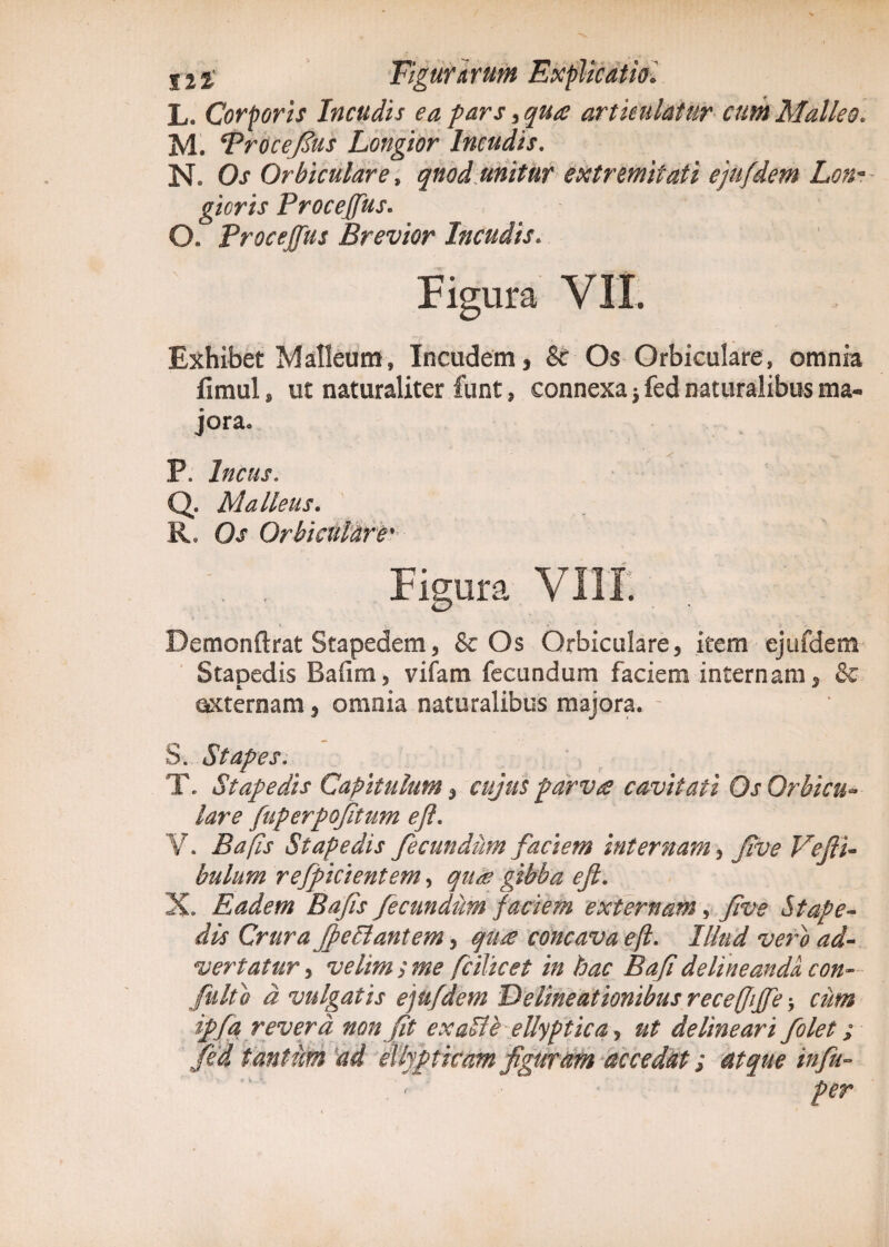 L. Corporis Incudis ea pars, qua articulatur cum Malleo. M. ‘Procejdus Longior Incudis. N. Os Orbiculare, qnod unitur extremitati ejufdem Lon¬ gioris Procejfus. O. Proceffus Brevior Incudis. Figura VII. Exhibet Malleum, Incudem, & Os Orbiculare, omnia fimul „ ut naturaliter funt, connexa} fed naturalibus ma¬ jora. P. Incus. Q. Malleus. R. Os Orbiculare Figura VIII. Bemonftrat Stapedem, & Os Orbiculare, item ejufdem Stapedis Baiim, vifam fecundum faciem internam, & externam, omnia naturalibus majora* S. Stapes. T. Stapedis Capitulum, ayk? parvts cavitati Os Orbicu¬ lare fuperpojitum ejl. V. Bafis Stapedis fecundum faciem internam, five Vcjli- bulum r efficient em, qu<e gibba efi. X. Eadem Bajis fecundum faciem externam, f ve Stape¬ dis Crura jjeStantem, qti£ concava eft. Illud vero ad¬ vertatur y velim ; me fciVicet in hac Bafi delineanda con- fulto d vulgatis ejufdem Delineationibus recejjiffe * cum ipfa revera non fit exaPte ellyptica, ut delineari folet; fed tantum ad ellypticam figuram accedat; atque in fu-