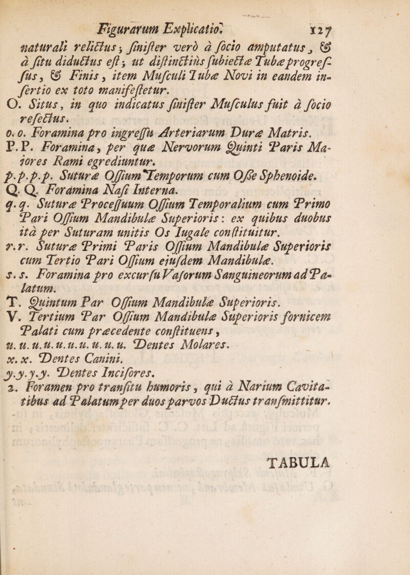 naturali reliElus* fnifler vero a focio amputatus a Jitu didu£ius ejl •, ut dif in Elius fubieEla Tubaprogref Jus y & Finis, item Mufculi Juba Novi in eandem in- fertio ex toto manifefletur. O. Situs, in quo indicatus Jinifier Mufculus fuit d focio refeElus. O. 0. Foramina pro ingrejfn Arteriarum Dura Matris. P. P. Foramina i per qua Nervorum Quinti Taris Ma¬ iores Rami egrediuntur. p-p-p-p- Sutura OJfum*Temporum cum OJJe Sphenoide* Q. Q. Foramina Naf Interna. q. q. Sutura Trocejfuum OJfium Temporalium cum Trimo Tari OJfium Mandibula Superioris: w quibus duobus ita per Suturam unitis Os Iugale conflituitur. r. r.. Sutura Trimi Taris OJfium Mandibula Superioris cum Tertio Tari Ojfum ejufdem Mandibula. j*. Foramina pro excurfuVaJorum Sanguineorum adTa* latum. T. Quintum Far Ojfum Mandibula Superioris. V. Tertium Tar Ojfum Mandibula Superioris fornicem T alat i cum pr a cedent e conflituens, ti.u.u,u.u.n.u.u.U'U. Dentes Molares. #. <v. Dentes Canini. y.y.y.y- Dentes Incifores. 2 . Foramen pro tranfitu humoris 5 gw/ d Narium Cavit tibus ad Talatumper duos parvos DuElus tranfmittitur* TABULA