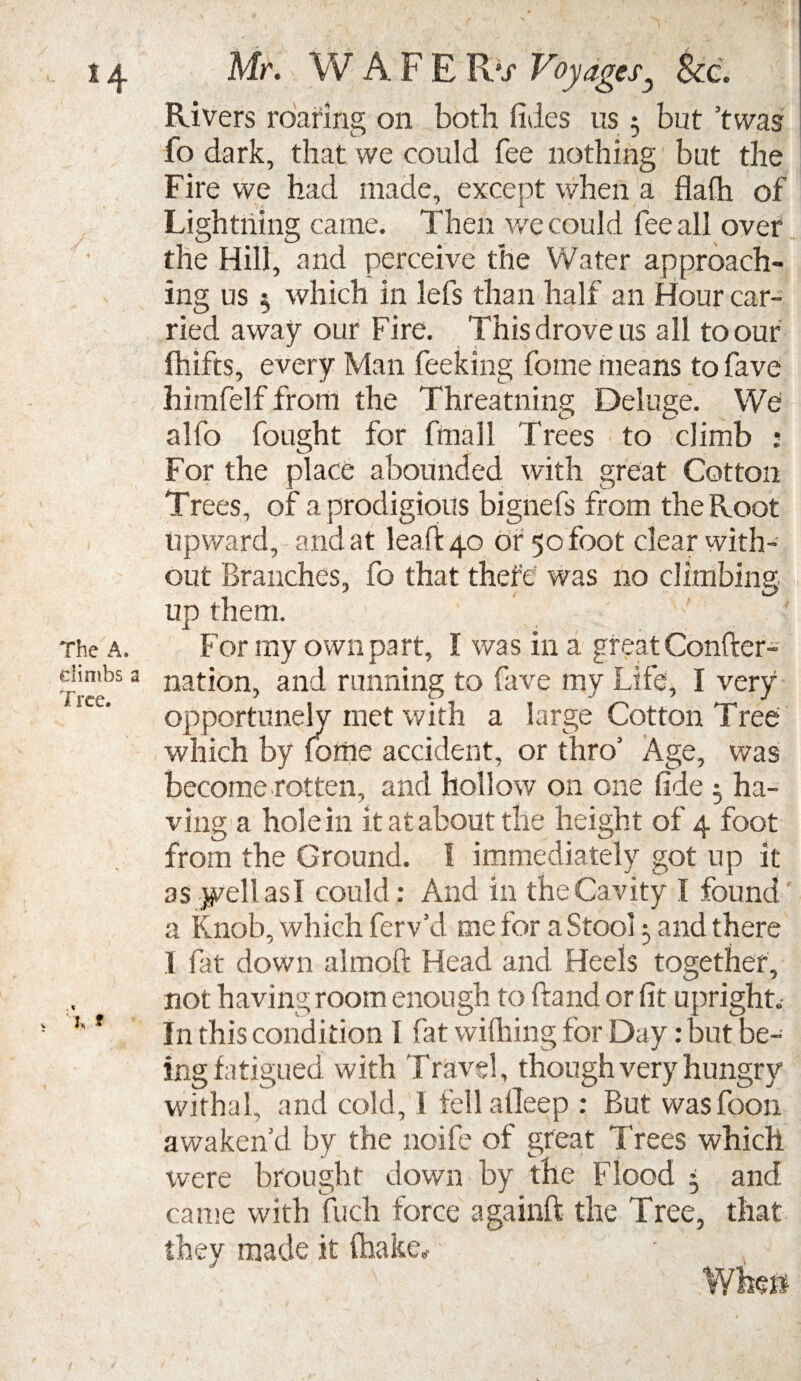 The A. dimbs a Tree. i, * Rivers roaring on both fides us 5 but ’twas fo dark, that we could fee nothing but the Fire we had made, except when a flalh of Lightning came. Then we could fee all over the Hill, and perceive the Water approach¬ ing us s, which in lefs than half an Hour car¬ ried away our Fire. This drove us all to our fhifts, every Man feeking fome means to fave himfelf from the Threatning Deluge. We alfo fought for ftnall Trees to climb : For the place abounded with great Cotton Trees, of a prodigious bignefs from the Root upward, and at lead 40 or 50 foot clear with¬ out Branches, fo that thel'e was no climbing up them. For my own part, I was in a great Confter- nation, and running to fave my Life, I very opportunely met with a large Cotton Tree which by lome accident, or thro’ Age, was become rotten, and hollow on one fide 5 ha¬ ving a hole in it at about the height of 4 foot from the Ground. I immediately got up it as yell as I could: And in the Cavity I found a Knob, which ferv’d me for a Stool 3 and there I fat down almoft Head and Heels together, not having room enough to ftand or fit upright. In this condition I fat widling for Day: but be¬ ing fatigued with Travel, though very hungry withal, and cold, I fell alleep : But wasfoon awaken’d by the noife of great Trees which were brought down by the Flood * and came with fuch force againft the Tree, that they made it ftiake.-