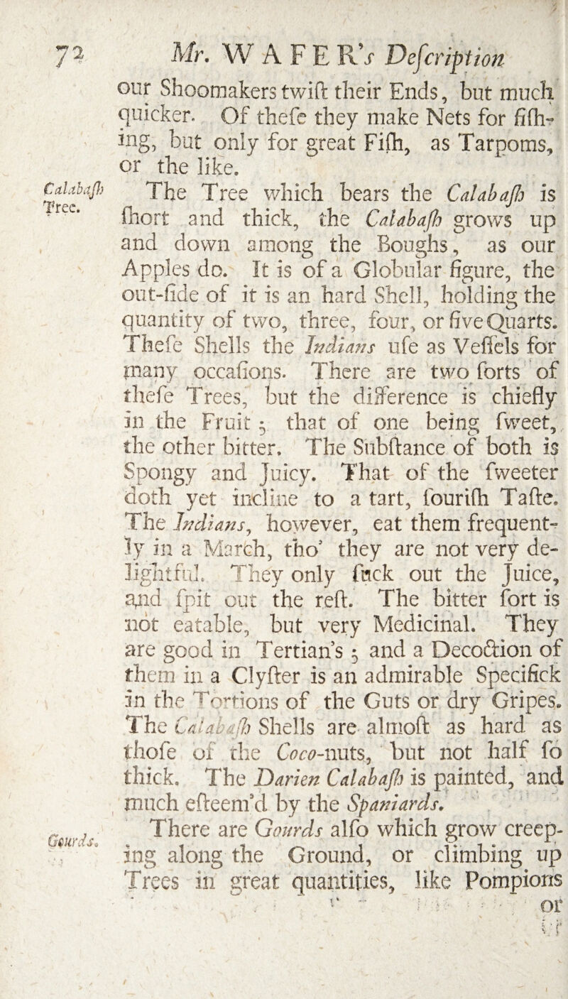 Calabafh Tree. Gmdso our Shoemakers twift their Ends, but much quicker. Of fhefe they make Nets for fibb¬ ing, but only for great Fifh, as Tar poms, or the like. The Tree which bears the Cal abaft is fhort and thick, the Calabaft grows up and down among the Boughs, as our Apples do. It is of a Globular figure, the out-fide of it is an hard Shell, holding the quantity of two, three, four , or five Quarts. Thefe Shells the Indians ufe as Veflels for tnany occafions. There are two forts of thefe Trees, but the difference is chiefly in the Fruit 5 that of one being fweet, the other bitter. The Subftance of both is Spongy and juicy. That of the fweeter doth yet incline to a tart, fourifh Tafte, The Indians, however, eat them frequent- ly in a March, tho’ they are not very de¬ lightful. They only fuck out the Juice, gnd fjpit out the reft. The bitter fort is not eatable, but very Medicinal. They are good in Tertian’s 3 and a Deco&ion of them in a Clyfter is an admirable Specifick in the Tortious of the Guts or dry Gripes. The Caid <ft Shells are altnoft as hard as thofe of die Coco-nuts, but not half fo thick. The Darien Cal a bap is painted, and much efteenfcl by the Spaniards. There are Gourds alfo which grow creep¬ ing along the Ground, or climbing up Trees in great quantities, like Pompions