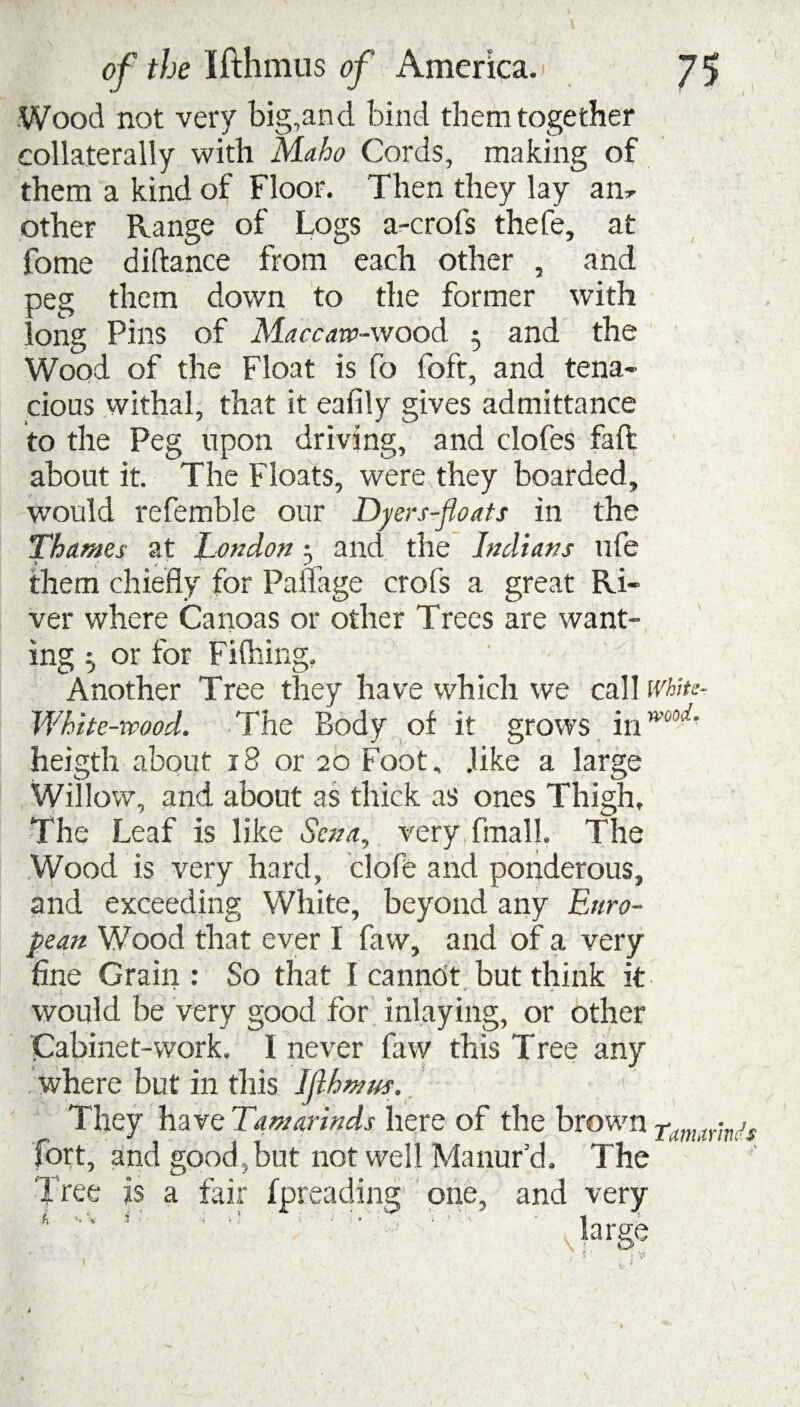 Wood not very big,and bind them together collaterally with Maho Cords, making of them a kind of Floor. Then they lay am other Range of Logs a-crofs thefe, at fome diftance from each other , and peg them down to the former with long Pins of Maccaw-wood 5 and the Wood of the Float is fo foft, and tena¬ cious withal, that it eafily gives admittance to the Peg upon driving, and clofes fa ft about it. The Floats, were they boarded, would refemble our Dyers-floats in the Thames at London and the Indians ufe them chiefly for Panage crofs a great Ri¬ ver where Canoas or other Trees are want¬ ing ^ or for Fifhing, Another Tree they have which we call white- White-wood. The Body of it grows in”'1’’' heigth about 18 or 20 Foot, .like a large Willow, and about as thick as ones Thigh, The Leaf is like Sena, very final!. The Wood is very hard, clofe and ponderous, and exceeding White, beyond any Euro¬ pean Wood that ever I faw, and of a very fine Grain : So that I cannot but think it would be very good for inlaying, or other Cabinet-work. 1 never faw this Tree any where but in this Iflhmus. i • f They have Tamarinds here of the brown tamarinds fort, and good,but not well Manur’d, The Tree is a fair fpreading one, and very