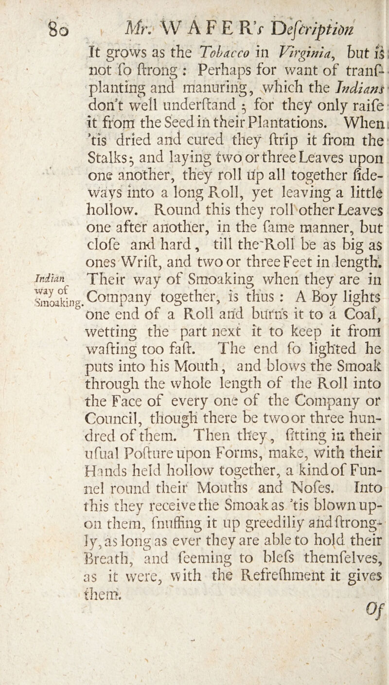 It grows as the Tobacco in Virginia, but is not fo ftrong ; Perhaps for want of trans¬ planting and manuring, which the Indians don't well under ft and 5 for they* only raife it from the Seed in their Plantations. When ’tis dried and cured they ftrip it from the Stalks 5 and laying two or three Leaves upon one another, they roll up all together fide- ways into a long Roll, yet leaving a little hollow. Round this they roll other Leaves one after another, in the fame manner, but clofe and hard, till the'Roll be as big as ones Wrift, and two or three Feet in length. Indian Their way of Smoaking when they are in Sneaking. Company together, is thus : A Boy lights 1 one end of a Roll and burn’s it to a Coal, wetting the part next it to keep it from wafting too fa ft. The end fo lighted he puts into his Mouth, and blows the Smoak through the whole length of the Roll into the Face of every one of the Company or Council, though there be two or three hun¬ dred of them. Then they, fitting in their ufual Pofture upon Forms, make, with their Hands held hollow together, a kind of Fun¬ nel round their Mouths and Nofes. Into this they receive the Smoak as Tis blown up¬ on them, (huffing it up greediliy and ftrong- ]y, as long as ever they are able to hold their Breath, and feeming to blefs themfelves, as it were, with the Refreshment it gives them.