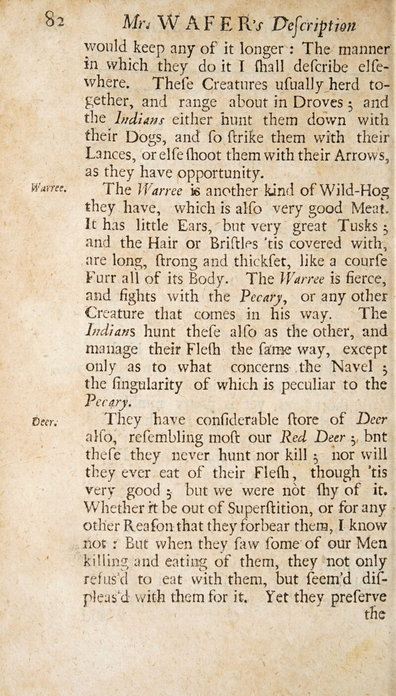 Mrj W A F E Fv’s Uefcript ion would keep any of it longer : The manner in which they do it I fhall defcribe elfe- where. Thefe Creatures ufually herd to¬ gether, and range about in Droves 3 and the Indians either hunt them down with their Dogs, and fo ftrike them with their Lances, or elfe fhoot them with their Arrows, as they have opportunity. The Warree is another kind of Wild-Hog they have, which is alfp very good Meat. It has little Ears, but very great Tusks 3 and the Hair or Briftles ’tis covered with, are long, ftrong and thickfet, like a courfe Furr all of its Body. The Warree is fierce, and fights with the Pec ary, or any other Creature that comes in his way. The Indians hunt thefe alfo as the other, and manage their Flefh the fame way, except only as to what concerns the Navel 3 the Angularity of which is peculiar to the Pecary. j * */ v % j They have confiderable ftore of Deer alfo, refembling moft our Red Deer 3 bnt thefe they never hunt nor kill 3 nor will they ever eat of their Flefh, though Tis very good 3- but we were not fhy of it. Whether it be out of Superftition, or for any other Rea fen that they forbear them, I know not : But when they faw feme of our Men killing and eating of them, they not only refus’d to eat with them, but feem’d dif- p! eas'd with them for it. Yet they preferve
