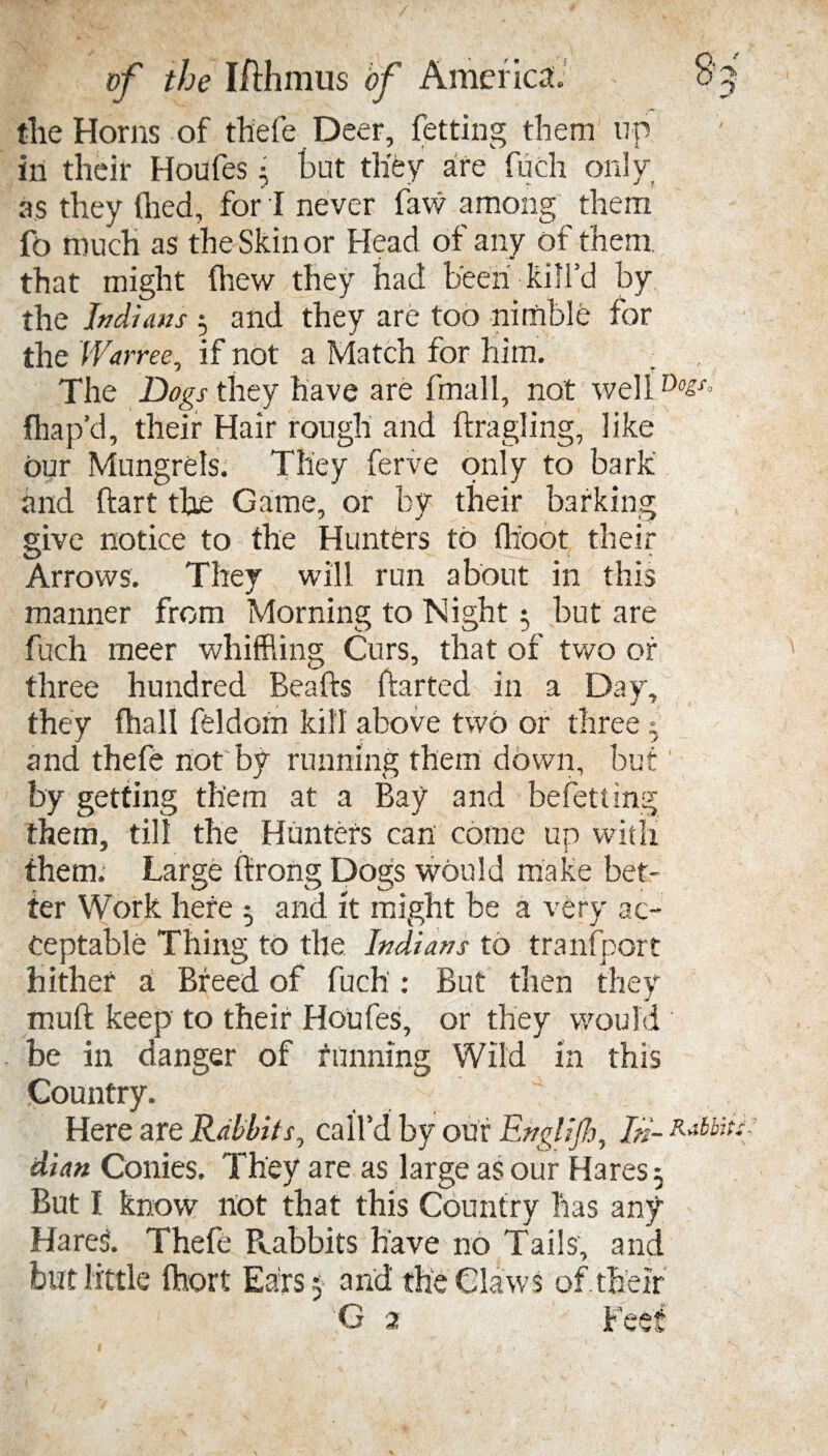 8' the Horns of thefe Deer, fetting them up in their Houfes • but they are fuch only, as they (lied, for I never faw among them fo much as the Skin or Head of any of them, that might (hew they had been kill’d by the Indians 3 and they are too nimble for the Warree, if not a Match for him. The Dogs they have are fmall, not well D^x> fhap’d, their Hair rough and dragling, like our Mungrels. They ferve only to bark and dart the Game, or by their barking give notice to the Hunters to fhoot their Arrows. They will run about in this manner from Morning to Night 3 but are fuch meer whiffling Curs, that of two or three hundred Beads darted in a Day, they fhall feldom kill above two or three 3 and thefe not by running them down, but' by getting them at a Bay and befetting them, til! the Hunters can come un with them. Large drong Dogs would make bet¬ ter Work here 3 and it might be a very ac¬ ceptable Thing to tile Indians to transport hither a Breed of fuch : But then they mud keep to their Houfes, or they would be in danger of funning Wild in this Country. Here are Rabbits, call’d by our Ehglifh, In¬ dian Conies. They are as large as our Hares 3 But I know not that this Country has any Hare! Thefe Pvabbits have no Tails, and but little fhort Ears 5 and the Claws of their
