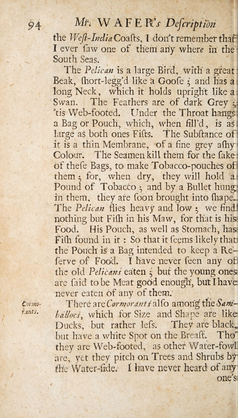 fcoYriio- rants. Mi-. W A F E RV Defcript&n the Weft-India Coafts, I don't remember that I ever fiaw one of them' any where in the South Seas. ; . The Pelican is a large Bird, with a great Beak, fliort-legg’d like a Goofe • arid has a long Neck, which it holds upright like a Swan. The Feathers are of dark Grey 5tis Web-footed. Under the Throat hangs a Bag or Pouch, which, when fill’d, is aS large as both ones Fifts. The Subftance of it is a thin Membrane, of a fine grey afhy Colour. The Seamen kill them for the fake of thefe Bags, to make Tobacco-pouches of: them ^ for, when dry, they will hold 'at Pound of Tobacco and by a Bullet hung in them, they are foori brought into fhaped The Pelican flies heavy and low $ we find nothing but Fifh in his Maw, for that is his Food. His Pouch, as well as Stomach, has Fifh found in it : So that it feems likely thatl the Pouch is a Bag intended to keep a Pre¬ fer ve of Food. I have never feen any of! the old Pelicans eaten • but the young ones are fa id to be Meat good enough, but I have never eaten of any of them; There a re Cormorants a] fo among the Sant- bailees, which for Size and Shape are like Ducks, but rather lefs. They are black,, but have a white Spot on the Bread. Tho” they are Web-footed, as other Water-fowl are, yet they pitch on Trees and Shrubs by the Water-fide. I have never heard of any one’s;