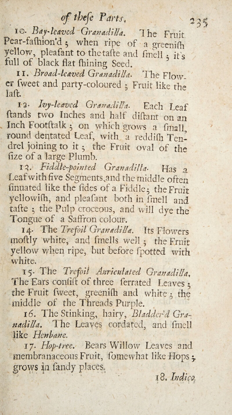 10. Bay-leaved Granadilla. 1 he Fruit Pear-fafhion’d ; when ripe of a greenifh yellow, pleafant to thetafte and fmell • it'c full of black flat (hining Seed. ’ 11. Broad-leaved Granadilla- The Flow- ei* fweet and party-coloured • Fruit like the Lift. 12- Ivy-leaved Granadilla- Each Leaf ftands two Inches and half diftant on an Inch Footftalk; on which grows a final!, round dentated Leaf, with a reddifh Ten- drel joining to it ; the Fruit oval of the fize of a large Plumb. 13. Fiddle-pointed Granadilla- Has a Leaf with five Segments,and the middle often finuated like the fides of a Fiddle; the Fruit yellowish, and pleafant both in fmell and tafte ; the Pulp croceous, and will dye the Tongue of a Saffron colour. 14. The Trefoil Granadilla. Its Flowers moftly white, and frnells well ; the Fruit yellow when ripe, but before fpotted with white. 15. The Trefoil Auriculated Granadilla. The Ears conlift of three ferrated Leaves 5 the Fruit fweet, greenifh and white; the middle of the Threads Purple. 16. The Stinking, hairy. Bladderd Gra- nadilla. The Leaves cordafcd, and fmell like Henbane. X . - . ■ *, 17. Hop-tree. Bears Willow Leaves and membranaceous Fruit, fomewhat like Hops y grows In fandy places,.