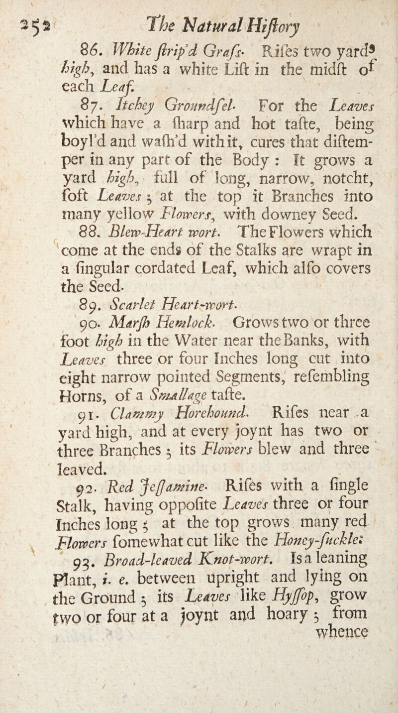 86. /TK/e Jiri/d Grafs• Riles two yard3 and has a white Lift in the midft each Leaf. ■ 87. Itchey Groundfel- For the Leaves which have a fharp and hot tafte, being boyl’d and wafh’d with it, cures that diftem- per in any part of the Body : It grows a yard high, full of long, narrow, notcht, foft Leaves $ at the top it Branches into many yellow .['lowers, with downey Seed. 88. Blew-Heart wort. The Flowers which / come at the ends of the Stalks are wrapt in a fingular cordated Leaf, which alfo covers the Seed- 89. Scarlet Heart-wort. 90. Marjh Hemlock. Grows two or three foot high in the Water near the Banks, with Leaves three or four Inches long cut into eight narrow pointed Segments, refembling Horns, of a Small age tafte. a\. Clammy Horehound. Rifes near .a yard high, and at every joynt has two or three Branches 3 its Flowers blew and three leaved. 92. Red Jefamine- Rifes with a fingle Stalk, having opposite Leaves three or four Inches long 5 at the top grows many red Flowers fomewhat cut like the Honey-fickle: 95. Broad-leaved Knot-wort. Is a leaning Plant, i. e. between upright and lying on the Ground 5 its Leaves like Hyjfop, grow two or four at a joynt and hoary 3 from ' ' T v whence 1