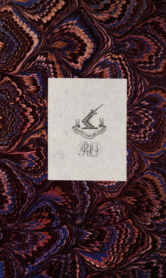 digitised image 2