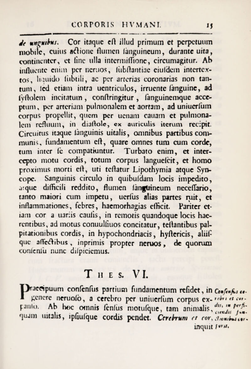 Jt unguibus. Cor itaque cfl illud primum et perpetuum mobile, cuius atftionc flumen (anguineum, durante urta, continenter, et line ulla intermiflione, circumagitur. Ab influente enim per ncruos, liibftantiac ciuldem intertex¬ tos, liouido (iibtili, ac per arterias coronarias non tan¬ tum, led etiam intra ucntriculos, irruente (anguine, ad iyflolem incitatum , conflringitur , fanguinemque acce¬ ptum , per arteriam pulmonalem et aortam, ad uniuerfum corpus propellit, quem per ucnam cauam et pulmona¬ lem refluum, in diartole, ex auriculis iterum recipit. Circuitus itaque languinis uitalis, omnibus partibus com¬ munis, fundamentum eft, quare omnes tum cum corde, tum inter (e compatiuntur. Turbato enim, et inter¬ cepto motu cordis, totum corpus languelcit, et homo proximus morti eft, uti tcftatur Lipothymia atque Syn¬ cope. Sanguinis circulo in quibufdam locis impedito, a:que difficili reddito, flumen (anguineum neceflario, tanto maiori cum impetu, uerfus alias partes ruit, et inflammationes, febres, haemorhagias efficit. Pariter et¬ iam cor a uariis caulis, in remotis quandoque locis hae¬ rentibus, ad motus conuulliuos concitatur, teftantibus pal¬ pitationibus cordis, in hypochondriacis, hyftericis, aliif que aflccftibus , inprimis propter neruos, de quorum conlenlu nunc dilpicicmus. Tues. VI. I>ac«puum confenfus partium fundamentum refidet, in I genere neruofo, a cerebro per uniuerfum corpus ex-,ri”' <* *'•»- panio. Ab hoc otnnis fcnfits motufque, tam animalis, qujm uitalts, ipfiufque cordis pendet. Cerebrum et cor, ,■?*>*/**,t#,. inquit