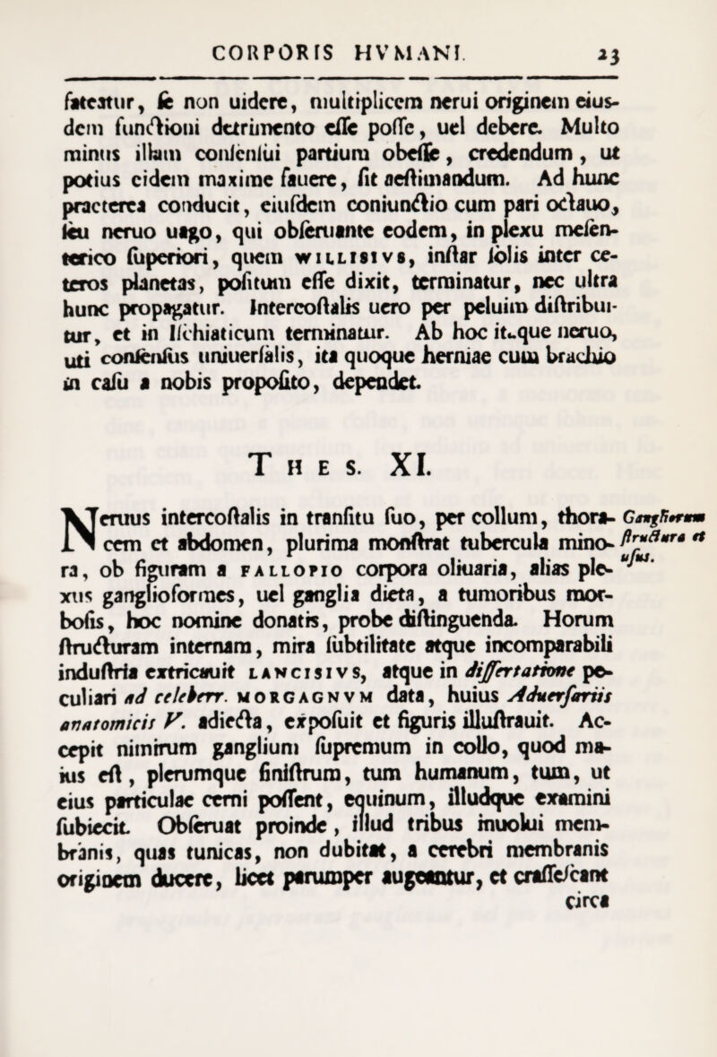 fateatur. St non uidere, multiplicem nerui originem eius¬ dem funrtioni detrimento efle pofle, uel debere. Multo minus illam conicniui partium obefle, credendum, ut potius eidem maxime fauere, fit aeftitnandum. Ad hunc praeterea conducit, eiufdcm coniundio cum pari odauo, Icu neruo uago, qui obleruante eodem, in plexu melen- terieo (uperiori, quem willisivs, inftar iolis inter ce¬ teros planetas, politum cite dixit, terminatur, nec ultra hunc propagatur. Intercoftalis uero per peluim diftribui- tur, et in Hchiaticum terminatur. Ab hoc itaque neruo, uti confcnlus uniuerfalis, ita quoque herniae cum brachio in caiii a nobis propohto, dependet. T H E S. XI. Neruus intercoftalis in tranfitu fuo, per collum, thora- Ga*gfi*rmm cem et abdomen, plurima monftrat tubercula mino- $r*a*T* •* ra, ob figuram a fallopio corpora oliuaria, alias ple- u **' xt»s gangfioforraes, uel ganglia dicta, a tumoribus raor- bofis, hoc nomine donatis, probediftinguenda. Horum ftnnfturam internam, mira lubtilitate atque incomparabili induftria extricaurt t a n c i j i v s, atque in differtattone pe- cui i ari ad ee/ekerr. morgagnvm data, huius Aduerforiis anatomicis V. adietfta, expofuit et figuris illuftrauit. Ac¬ cepit nimirum ganglium lupremum in collo, quod ma¬ ius eft, plerumque finiftrura, tum humanum, tum, ut eius particulae ccmi poftent, eauinum, iltudque examini fubiecit Obleruat proinde, illud tribus muokri mem¬ branis, quas tunicas, non dubitat, a cerebri membranis originem ducere, licet parumper augeantur, ct crafle/cant circa