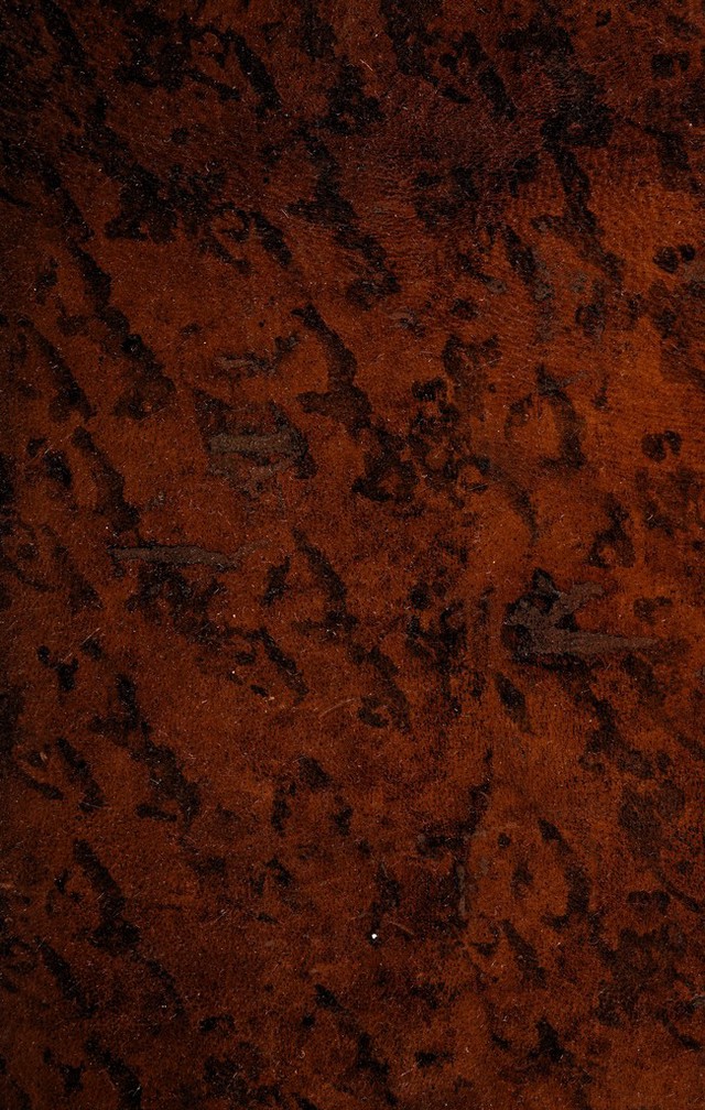 digitised image 1
