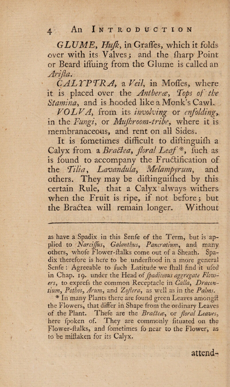 GLUME, TFufk, in Grades, which it folds over with its Valves; and the fharp Point or Beard illuing from the Glume is called an Arijia. CALTFTRA, a Veil, in Modes, where it is placed over the Antherce, Tops of the Stamina, and is hooded like a Monk's CawL VOLVAy from its involving or enfolding, in the Fungi, or Mujhroom-tribe, where it is membranaceous, and rent on ail Sides. It is fometimes difficult to diftinguifh a Calyx from a Bradlea, Leaf*, fuch as is found to accompany the Fructification of the Tilia, Lavandula, Melampyrum, and others. They may be difHnguifhed by this certain Rule, that a Calyx always withers when the Fruit is ripe, if not before; but the BraCtea will remain longer. Without as have a Spadix in this Senfe of the Term, but is ap¬ plied to NarciJJus, Galanthus, Pancratium, and many others, whofe Flower-flalks come out of a Sheath. Spa¬ dix therefore is here to be underflood in a more general Senfe : Agreeable to fuch Latitude we fhall find it ufed In Chap. 19. under the Head of Jpadiccous aggregate Flow¬ ers, to exprefs the common Receptacle in Calla, Dracon- tlum, Pothos, Arum, and Xojlera, as well as in the Palms, * In many Plants there are found green Leaves amongil the Flowers, that differ in Shape from the ordinary Leaves of the Plant. Thefe are the Braffetc, or floral Leaves, here fpoken of. They are commonly fituated on the Flower-flalks, and fometimes fo near to the Flower, as to be miftaken for its Calyx, attends