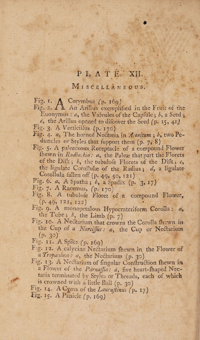 PL A T E>' XII. Miscellaneous.' V .. ' Fig. t. A Corymbus (p. 169J Fig. 2. X 1l An Arillus exemplified in the bruit of the Euohymiis : the Valvules of the Capfule; bb a Seed /? the Arillus opened to difebver the Seed (p. 15, 4.1-) Fig. 3. A Vertieillus (p. 170,) Fig. 4. r?5 The horned Nediaria in Aconitum ; b? two Pe¬ duncles or Styles that fupport them (p. 7, 8) Fig. 5. A paleaceous Receptacle of a compound Flower fhewnin Rudbeckia: the Paleae that part the Florets of the Difk ; b, the tubulofe Florets of the Difk t r, the ligulate Corollulae of the K.adius \ F, a ligulate- Corollula fallen off (p. 49, 50, 121) Fig. 6. A Spatha \ b, a Spadix (p. 3, 17} Pig. 7. A Racemus, (p. 170) i'ig. 8. A tubulofe Floret of a compound Flower? _ (p. 49, 121, 122) fig. 9^A monopetalous Hypocrateriform Corolla: ay the i ube ; b, the Limb (p. 7) big. 10. A Nechrium that crowns the Corolla (hewn in the Cup of a Narcijjus: a, the Cup or Nedfarium (P- 30) Fig. 11. A Spike (p. 169) b :g. 12'. A calycine Nedfarium fhev/n in the Flower of a Troptzolum: a, the Nedfarium (p. 30) I3* Fi Nedfarium of lingular Conftrudfion fhewn in a Flower of the Parnajjla: a, five heart-fhaped Nec- taria terminated by Styles or Threads, each of which _ is crowned with a little Ball (p. 30) big. 14. A Cynia of tht Laurujiinus dp. 17) Fig. 15. A Panicle fp. 169)