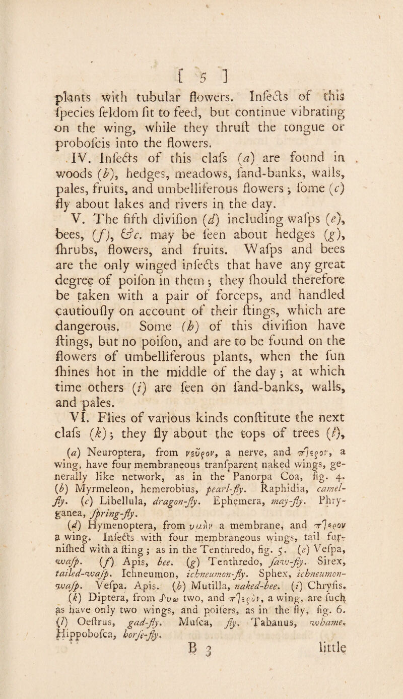 plants with tubular flowers. Infects of this ipecies feldom fit to feed, but continue vibrating on the wing, while they thruft the tongue or probofcis into the flowers. IV. Infers of this clafs (a) are found in „ v/oods (£), hedges, meadows, land-banks, walls, pales, fruits, and umbelliferous flowers fome (c) fly about lakes and rivers in the day. V. The fifth divifion (d) including wafps (<?), bees, (/J, &amp;c. may be feen about hedges (g), fhrubs, flowers, and fruits. Wafps and bees are the only winged infects that have any great degree of poifon in them *, they fhould therefore be taken with a pair of forceps, and handled cautioufly on account of their flings, which are dangerous. Some (h) of this divifion have ftings, but no poifon, and are to be found on the flowers of umbelliferous plants, when the fun fhines hot in the middle of the day ; at which time others (/) are feen on fand-banks, walls, and pales. VI. Flies of various kinds conflitute the next clafs (k); they fly about the tops of trees (/), (a) Neuroptera, from vzvqov, a nerve, and a wing, have four membraneous tranfparent naked wings, ge¬ nerally like network, as in the Panorpa Coa, fig. 4. {b) Myrmeleon, hemerobius, pearl-fly. Raphidia, camel- fly. (c) Libellula, dragon-fly. Ephemera, may-fly. Phry- ganea, fpring-fly. (d) Hymenoptera, from vum> a membrane, and 'rjtyov d- wing. Infects with four membraneous wings, tail fur- nilhed with a king ; as in the Tenthredo, fig. 5. (<?) Vefpa, waflp. (f) Apis, bee. (g) Tenthredo, flaw-fly. Sirex, tailed-wajp. Ichneumon, ichneu?non-fly. Sphex, ichneutnon- 'pjaflp. Vefpa. Apis, {b) Mutilla, naked-bee. (z) Chryiis. (k) Diptera, from JVey two, and ir']%<>ovy a wing, are fuck as pave only two wings, and poilers, as in the fly, fig. 6. (/) Oeflrus, gad-fly. Mufca, fly. Tahanus, whame. fdippobofca, horJe-fly.