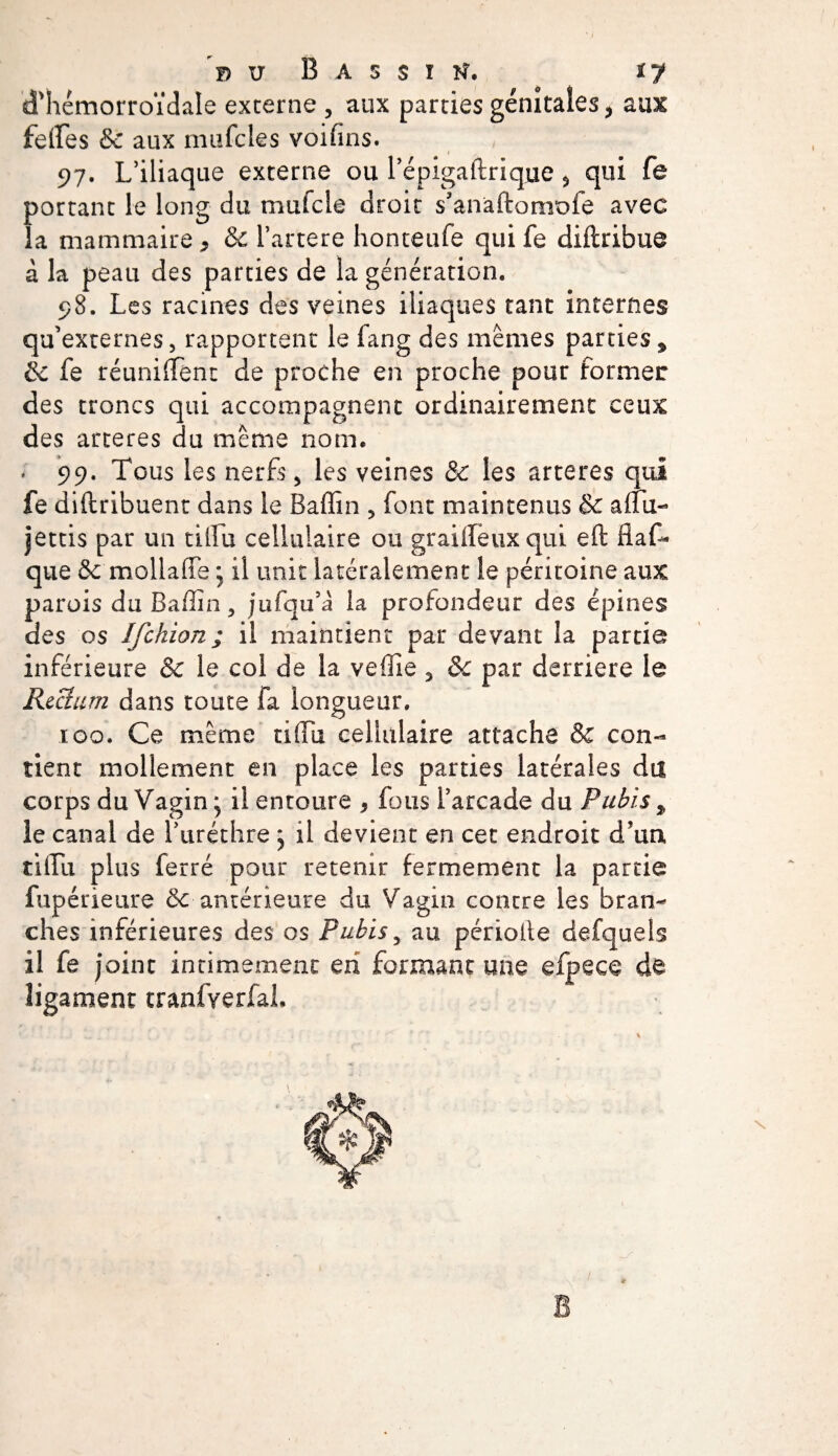 D Vf Bassin. ty d'hémorroïdale externe , aux parties génitales &gt; aux fetfes &amp; aux mufcles voifîns. 97. L’iliaque externe ou l’épigadrique 5 qui fe portant le long du mufcie droit s’anàftomüfe avec la mammaire , &amp; l’artere honteufe qui fe diftribue à la peau des parties de la génération. 98. Les racines des veines iliaques tant internes qu’externes, rapportent le fang des memes parties 9 &amp; fe réunirent de proche en proche pour former des troncs qui accompagnent ordinairement ceux des arteres du même nom. . 99. Tous les nerfs, les veines &amp; les arteres qui fe diftribuent dans le Badin , font maintenus &amp; affu- jettis par un tillu cellulaire ou graiffëuxqui eft Haf- que &amp;c mollaffe ; il unit latéralement le péritoine aux parois du Baffin, jufqu’a la profondeur des épines des os Ifckion ; il maintient par devant la partie inférieure &amp; le coi de la veffie 5 &amp;c par derrière le jRectum dans toute fa longueur. 100. Ce même tiflii cellulaire attache 5c con¬ tient mollement en place les parties latérales du corps du Vagin ; il entoure , fous i’arcade du Pubis * le canal de l’uréthre ^ il devient en cet endroit d’un, tilLu plus ferré pour retenir fermement la partie fupérieure 5c antérieure du Vagin contre les bran¬ ches inférieures des os Pubis, au période defquels il fe joint intimement en formant une efpece de ligament tranfyerfaL B