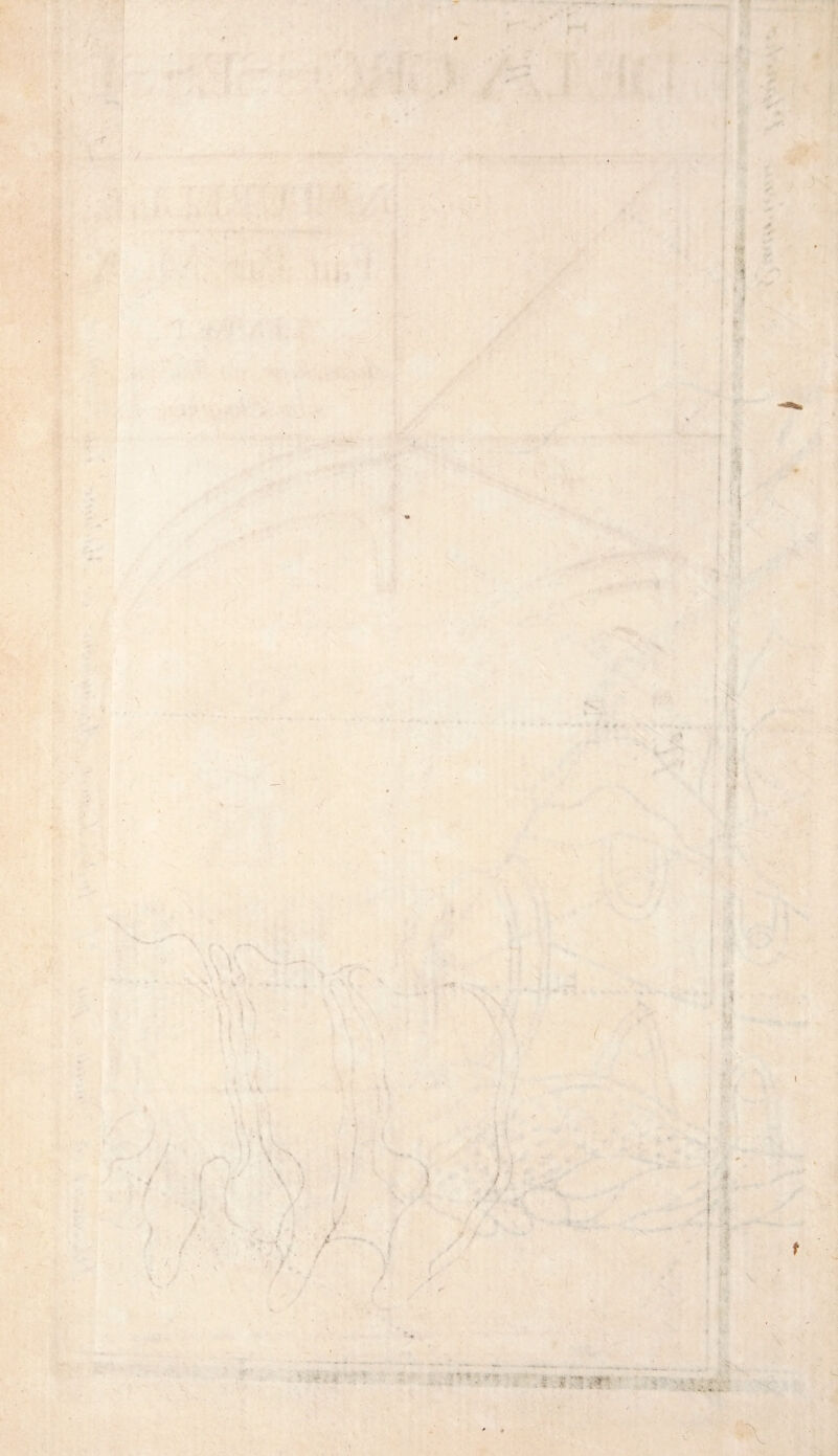 •> t .» v 3 : * \ - v I t • .y - / ? ■ ü