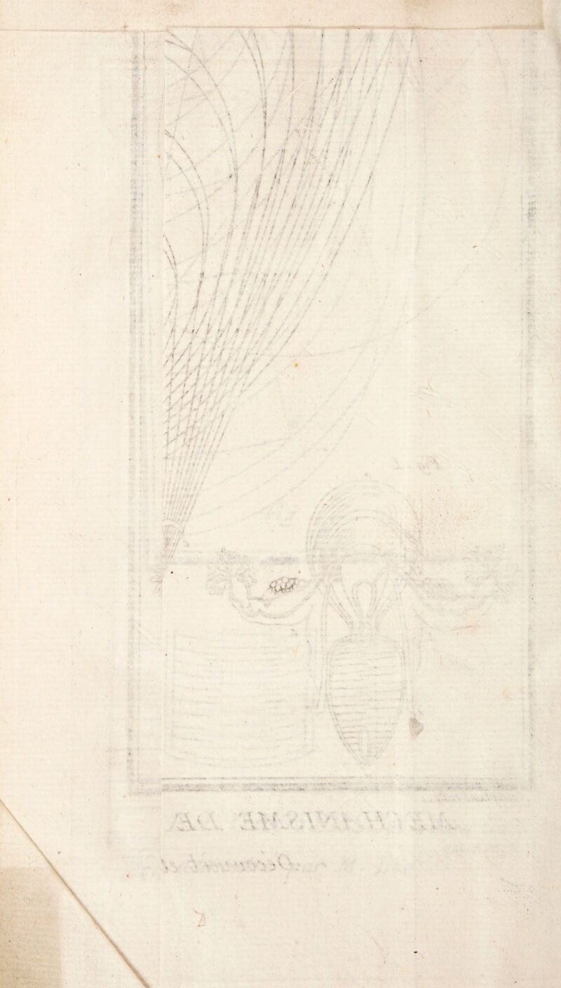 i i. ' v 1 i... ' • ! \ * \\ M > ' w ■i i f MM» ) i': i t ! ■ -• ' i 7 / ■ • :  ■ i h ». > -i !>* , • i : V \ ■5 S. / \ \ » \ i . . .-i / , i •<’> .* ;• : « • K M' i i / ■ > » ■* ; * * \ i - 9 * * * \ v v. ,* V IV X / > • <* . Jf > * < i J / <!}*< ■■■ •• * / f , ■ ; 1*4 ' ? * ( t ■ , r ■ •. • ■ i , , « # • // -* ■ \ ?.< ./ - , • » / y * ; / / ■ / w I , j .■ ■ - < ji - > /; / 1 \ , ; v;- ■ ■ / « •< ; .■ • / t < : • * i y y f f » i i. * ■. F t f i *\ /* * : >. f ■ / ■// - ■ ■ ■ •* i- / ! . s /'i > > > ✓ !/■ -r > #- * - * ! • iS ' i > f -f ' ' / • ■t * * * . • \ I ! < i < ri >i.' f ' • ■ f i ■ • H ’ .,/• f l'.-/ . -X . *■ Or J 4 * .1 ■ ■■wiv I .-,4 • ' '• <P . 1 » > * 4 • V - I : -- V* * ' V»* *' «t % ^‘r  -Afll» * ' •'«**' . ‘ •rr*' 'T ■i! ■ <■ .--f. - 1 .* . • 'V. 4*» I * •V ' v • 1 -v. p \ y* * v - '•i « « ! ». v . ■ . ' r - . V * ■ ' ' .. “r V ... .y, i :■:». ■ 3