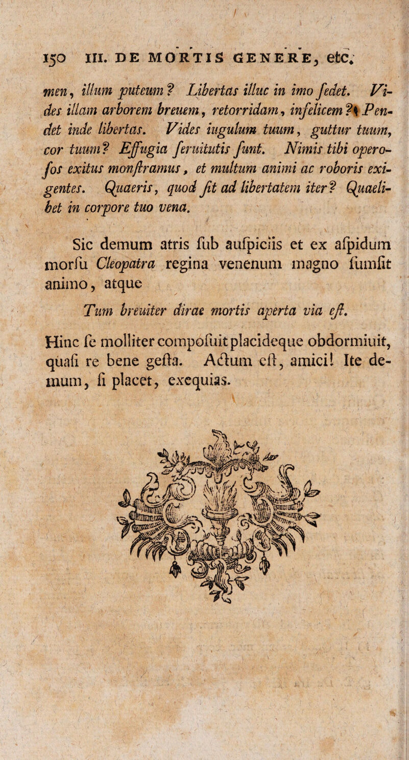 tnen, illum puteum ? Libertas illuc in imo fedet. Vi¬ des illam arborem breuem, retorridam, infelicem Pen¬ det inde libertas. Vides iugulum tuum, guttur tuum, cor tuum? Effugia feruitutis funt. Nimis tibi opero- fos exitus monftramus, et multum animi ac roboris exi¬ gentes. Quaeris, quod fit ad libertatem iter? Quaeli¬ bet in corpore tuo vena. Sic demum atris fub aufpiciis et ex afpidum morfu Cleopatra regina venenum magno fumfit animo, atque Tum breuiter dirae mortis aperta via eff. Hinc fe molliter compofuitplacideque obdormiuit, quali re bene gefta. Adum eft, amici! Ite de¬ mum, fi placet, exequias.