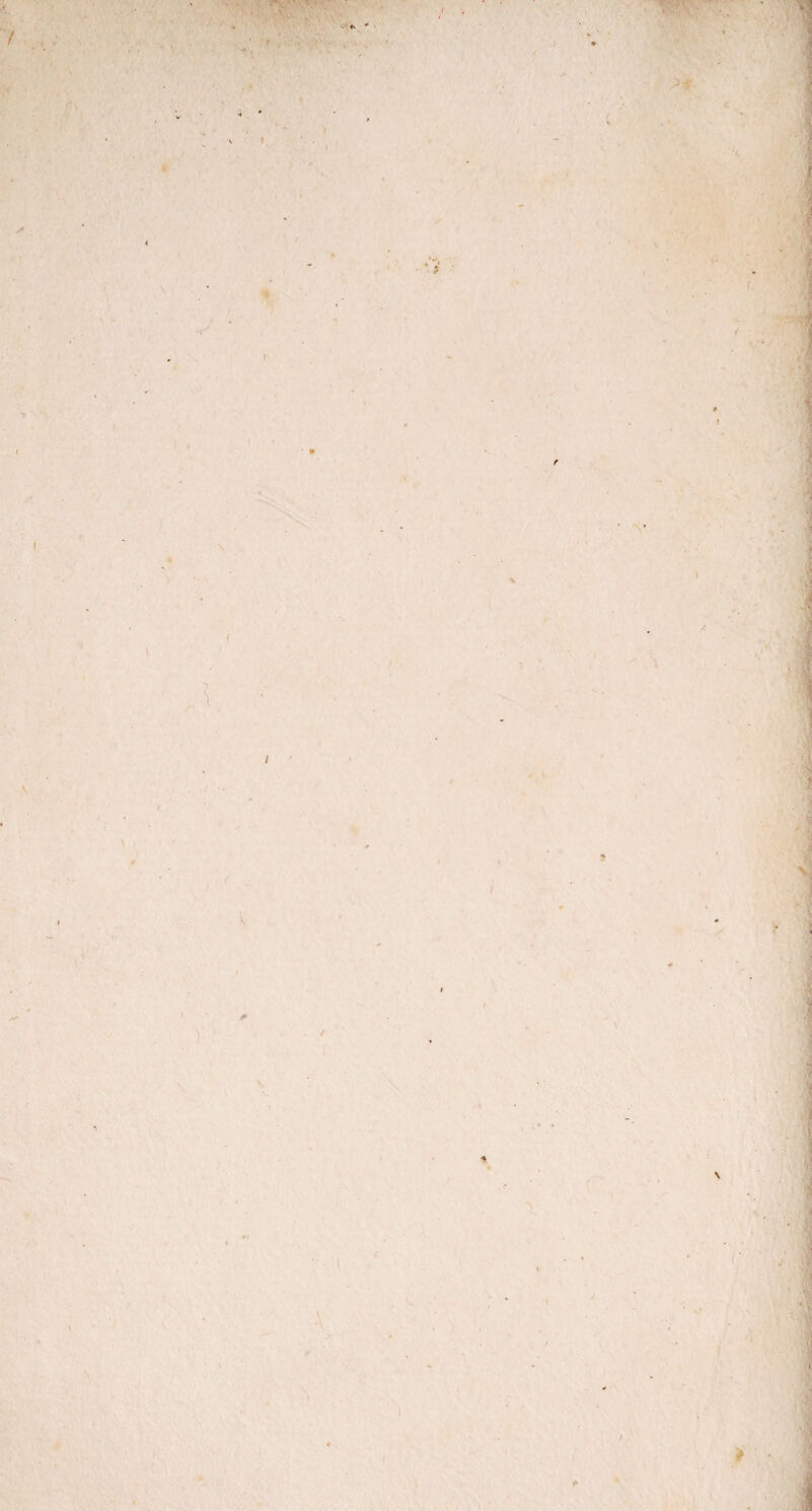 ! , • «.\V’ , v '' +• * ' •V I < K f K * ' \ •V