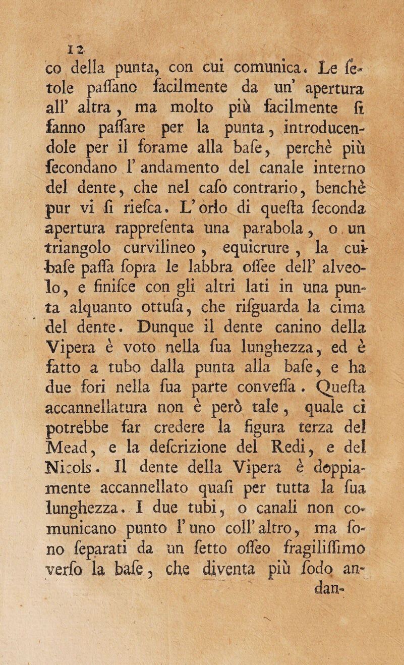 co della punta, con cui comunica* Le fe* tole padano facilmente da un apertura alF altra, ma molto più facilmente fi fanno pattare per la punta , introducen- dole per il forame alla bafe, perchè più fecondano f andamento del canale interno del dente, che nel cafo contrario, benché pur vi fi riefca. L'orlo di quella feconda apertura rapprefenta una parabola, o un triangolo curvilineo , equicrure , la cui- Lafe palla fopra le labbra olfee dell5 alveo» lo, e finifce con gli altri lati in una pun- ta alquanto ottufa, che rifguarda la cima del dente. Dunque il dente canino della Vipera è voto nella fua lunghezza, ed è fatto a tubo dalla punta alla bafe, e ha due fori nella fua parte convella . Quella accannellatura non è però tale , quale cì potrebbe far credere la figura terza del Mead, e la deicrizione del Redi, e del Nicols . Il dente della Vipera è doppia» mente accannellato quali per tutta la fua lunghezza. I due tubi, o canali non co» municano punto l'uno coll'altro, ma fo¬ no feparati da un fetto olfeo fragiliffinio verfo la bafe, che diventa più lodo an* dan»