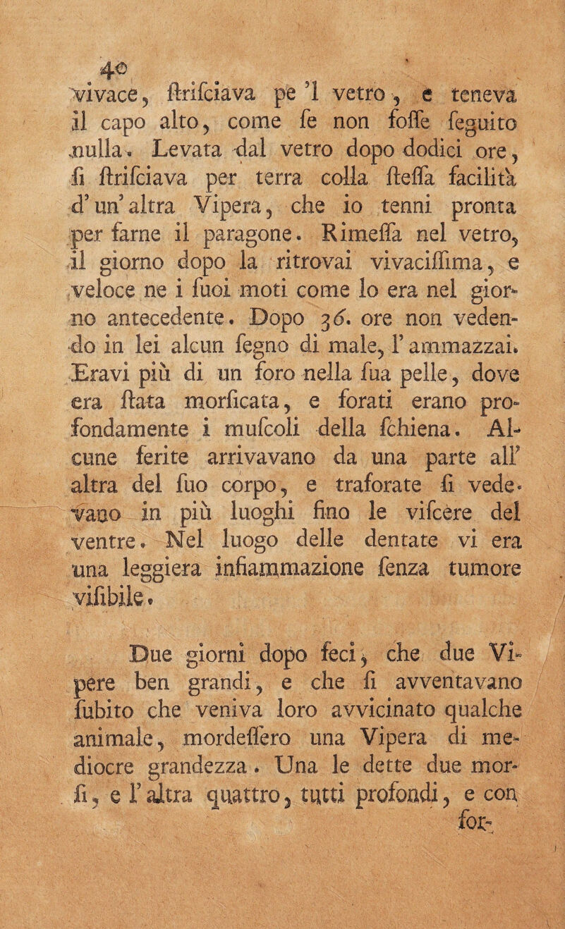 4*5 vivace 5 ftrifciava pe ?1 vetro , e teneva il capo alto 5 come fe non foffe feguito .nulla. Levata dal vetro dopo dodici ore, fi ftrifciava per terra colla ftefla facilita d3un altra Vipera, che io tenni pronta per farne il paragone. Rimelfa nel vetro, il giorno dopo la ritrovai vivaciffima, e veloce ne i fuoi moti come lo era nel gior¬ no antecedente. Dopo ore non veden¬ do in lei alcun fegno di male, Y ammazzai. Era vi più di un foro nella fua pelle, dove era ftata morficata, e forati erano pro¬ fondamente i mufcoli della fchiena. Al¬ cune ferite arrivavano da una parte alf altra del fuo corpo, e traforate fi vede¬ vano _ in più luoghi fino le vifcere del ventre. Nel luogo delle dentate vi era una leggiera infiammazione fenza tumore vifibile. Due giorni dopo feci y che due Vi¬ pere ben grandi, e che fi avventavano fubito che veniva loro avvicinato qualche animale, mordeffero una Vipera di me¬ diocre grandezza. Una le dette due mor- fu e T altra quattro , tutti profondi, e con