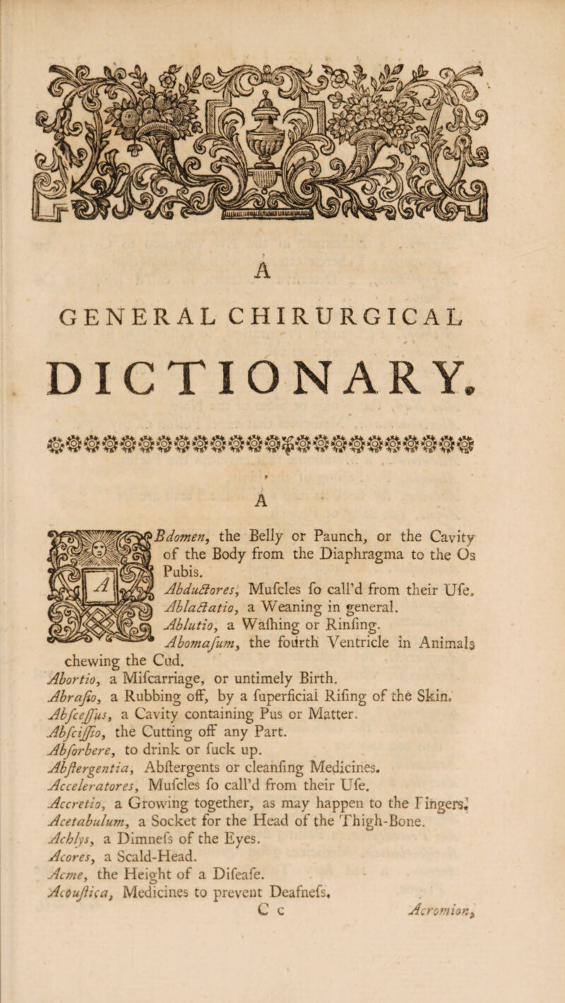 GENERAL CHIRURGICAL / * DICTIONARY. A Bdomen, the Belly or Paunch, or the Cavity of the Body from the Diaphragma to the Os Pubis. Abduffores, Mufcles fo call’d from their Ufe, Ahlattatio, a Weaning in general. Ablutio, a Walhing or Rinfing. Abomafum, the fourth Ventricle in Animals chewing the Cud. Abortio, a Mifcarriage, or untimely Birth. Abrafio, a Rubbing off, by a fuperficiai Rifing of the Skin. AbfceJJ'us, a Cavity containing Pus or Matter. Abfcitfio, the Cutting off any Part. Abforbere, to drink or fuck up. Abflergentia, Abftergents or cleanfing Medicines. Acceleratores, Mufcles fo call’d from their Ufe. Accretio, a Growing together, as may happen to the TiiigenJ Acetabulum, a Socket for the Head of the Thigh-Bone. Achlysy a Dimnefs of the Eyes. Acoresy a Scald-Head. Acme, the Height of a Difeafe. AcOuJiica, Medicines to prevent Deafnefs. C c Acromion*