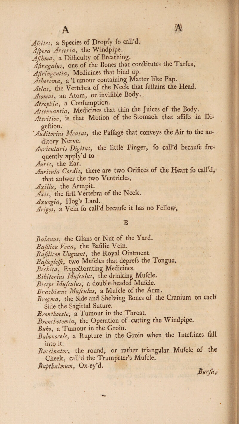 Afcites, a Species of Dropfy fo call’d, Afpera Arteria, the Windpipe. Alfhma, a Difficulty of Breathing. Aftragalus, one of the Bones that conflitutes the Tarfus. Aflringentia, Medicines that bind up. Atheroma, a Tumour containing Matter like Pap. Atlas, the Vertebra of the Neck that fuftains the Head. Atomus, an Atom, or invifible Body. Atrophia, a Confumption. Attenuantia, Medicines that thin the Juices of the Body. Attrition, is that Motion of the Stomach that aflifls in Di- geftion. 'Auditorius Meatus, the PafTage that conveys the Air to the au« - ditory Nerve. Auricularis Digitus, the little Finger, fo call’d becaufe fre¬ quently apply’d to Auris, the Ear. Auricula Cordis, there are two Orifices of the Heart fo call’d, that anfwer the two Ventricles. Axilla, the Armpit. Axis, the firft Vertebra of the Neck. Axungia, Hog’s Lard. ArigoS) a Vein fo call’d becaufe it has no Fellow. B Balanus, the Gians or Nut of the Yard. Bafilica Vena, the Bafilic Vein. Bajilicon JJnguent, the Royal Ointment. Bajioglojjt, two Mufcles that deprefs the Tongue. Bechita, Expectorating Medicines. Bibitorius Mufculus, the drinking Mufcle. Biceps Mufculus, a double-headed Mufcle. Brachitfus Mufculus, a Mufcle of the Arm. Bregma, the Side and Shelving Bones of the Cranium on each Side the Sagittal Suture. Bronthocele, a Tumour in the Throat. Bronchotomia, the Operation of cutting the Windpipe. Bubo, a Tumour in the Groin. Bubonocele, a Rupture in the Groin when the Inteftines fall into it. Buccinator, the round, or rather triangular Mufcle of the Cheek, call’d the Trumpeter’s Mufcle. Bupthalmum, Ox-ey’d.
