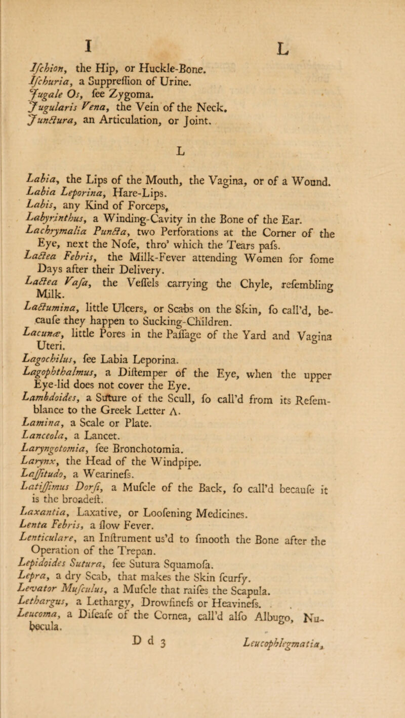 Ifchion, the Hip, or Huckle-Bone. Ifcburia, a Suppreflion of Urine. cjfugale Os, fee Zygoma. Jugularis Vena, the Vein of the Neck. 'Jundlura, an Articulation, or Joint. L Labia, the Lips of the Mouth, the Vagina, or of a Wound. Labia Leporina, Hare-Lips. Labis, any Kind of Forceps, Labyrintbus, a Winding-Cavity in the Bone of the Ear. Lacbrytnalia Punfta, two Perforations at the Corner of the Eye, next the Nofe, thro’ which the Tears pafs. Lattea Febris, the Milk-Fever attending Women for fome Days after their Delivery. Latfea^ Vafa, the Veffels carrying the Chyle, refembling Laaumina, little Ulcers, or Scabs on the Skin, fo call’d, be- caufe they happen to Sucking-Children. Lacuna, little Pores in the PaflTage of the Yard and Vagina Uteri. S Lagockilus, fee Labia Leporina. Lagopbtbalmus, a Diftemper of the Eye, when the upper Eye-lid does not cover the Eye. Lambdoides, a Suture of the Scull, fo call’d from its Refem- blance to the Greek Letter A. Lamina, a Scale or Plate. Lanceola, a Lancet. Laryngotomia, fee Bronchotomia. Larynx, the Head of the Windpipe. Lajjitudo, a Wearinefs. LatiJJimus Dorft, a Mufcle of the Back, fo call’d becaufe it is the broadeil. Laxantia, Laxative, or Loofening Medicines. Lenta Febris, a flow Fever. Lenticulare, an Inftrument us’d to fmooth the Bone after the Operation of the Trepan. Lepidoides Sutura, fee Sutura Squamofa. Lepra, a dry Scab, that makes the Skin fcurfy. Levator Mufculus, a Mufcle that raifes the Scapula. Lethargus, a Lethargy, Drowfmefs or Heavinefs. . Leucoma, a Difeafe of the Cornea, call’d alfo Albugo, Nu¬ becula.