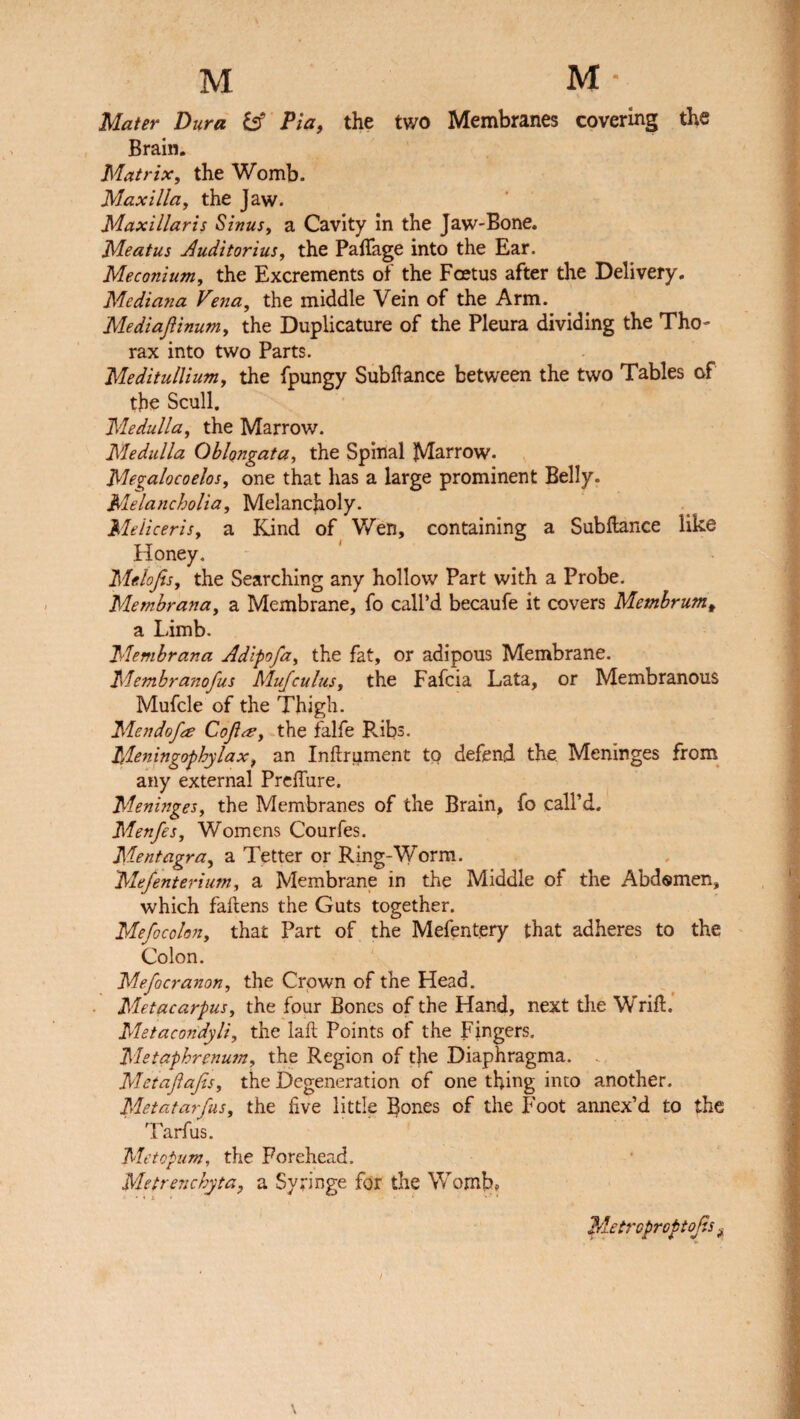 Mater Dura & Pia, the two Membranes covering the Brain. Matrix, the Womb. Maxilla, the Jaw. Maxillaris Sinus, a Cavity in the Jaw-Bone. Meatus Auditorius, the Paflage into the Ear. Meconium, the Excrements of the Fcetus after the Delivery. Mediana Vena, the middle Vein of the Arm. Mediaftinum, the Duplicature of the Pleura dividing the Tho¬ rax into two Parts. Meditullium, the fpungy Subftance between the two Tables of the Scull. Medulla, the Marrow. Medulla Oblongata, the Spinal Marrow. Megalocoelos, one that has a large prominent Belly. Melancholia, Melancholy. Meiiceris, a Kind of Wen, containing a Subllance like Honey. Melofis, the Searching any hollow Part with a Probe. Membrana, a Membrane, fo call’d becaufe it covers Membrum, a Limb. Membrana Adipofa, the fat, or adipous Membrane. Membranofus MuJcuius, the Fafcia Lata, or Membranous Mufcle of the Thigh. Men do fee Cofee, the falfe P.ibs. Meningophylax, an Inftrument to defend the. Meninges from any external Preffure. Meninges, the Membranes of the Brain, fo call’d. Menfes, Womens Courfes. Mentagra, a Tetter or Ring-Worm. Mefenterium, a Membrane in the Middle of the Abdsmen, which fallens the Guts together. Mefocolon, that Part of the Mefentery that adheres to the Colon. Mefocranon, the Crown of the Head. Metacarpus, the four Bones of the Hand, next the Wrift. Metacondyli, the laft Points of the Fingers. Metaphrenum, the Region of tjie Diaphragma. . Metafafis, the Degeneration of one thing into another. Metatarfits, the live little Bones of the Foot annex’d to the Tarfus. Metopum, the Forehead. Metrenchyta, a Syringe for the Womb* Metroproptofs %
