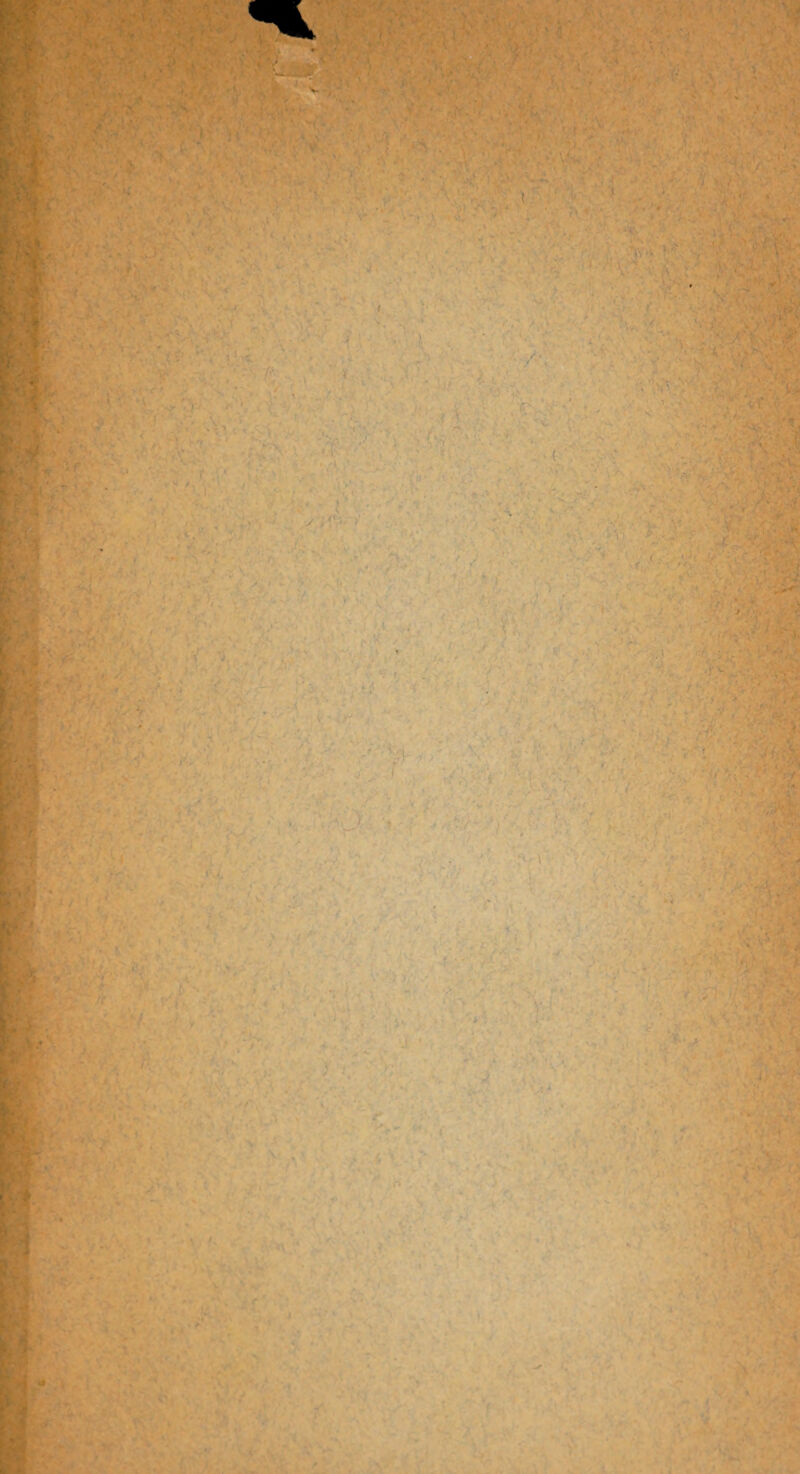 ' ‘ 'v \. r > :v - ■