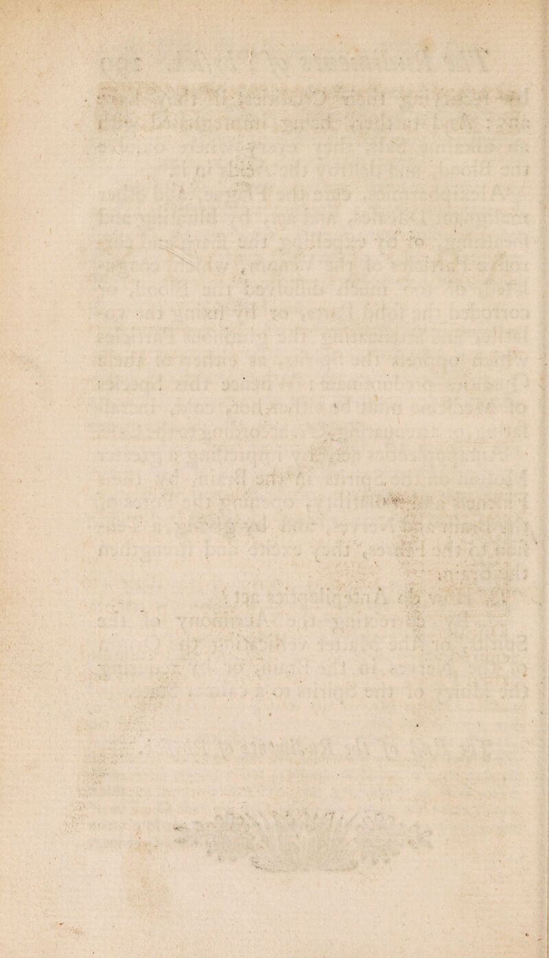 I - ■ • •• <* v f * ' v* JV i ■ i. Sfe ' •