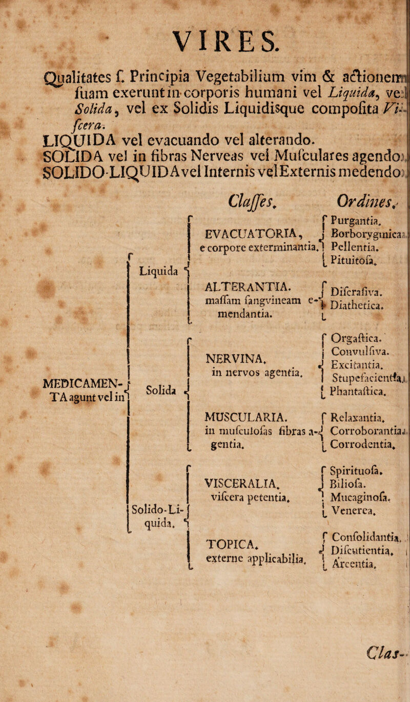 VIRES. Qualitates C Principia Vegetabilium vim & a&ionemi fuam exerunt in corporis humani vel Liquida, ve l Solida i vel ex Solidis Liquidisque compofita Fu fcera. LIQjUlDA vel evacuando vel alterando. SOLIDA vel in fibras Nerveas vel Mufculares agendo SOLIDO LIQUIDAvel Internis velExternis medendo Clajjes. Ordines* Liquida c f Purgantia, EVACUATORIA, j Borborygmica e corpore exterminantia.) Pellentia. L Pituitofa. ALTERANTIA. __ -. j Difcralva. manam fangvineam c-j, Diathetka- l mendantia. MEDICAMEN- TAag gunt vel in J Solida NERVINA, in nervos agentia. C Orgaflica. i Convulfiva. «j Excitantia. I Stupcfacientfay f Phantaftica. MUSCULARIA. f Relaxantia, in miifculofas fibras Corroborantia,: l Corrodentia. g entia. Solido-Li¬ quida. *i VISCERALIA, vifcera petentia. r Spirituofa. t «1 Biliofa. } Mucaginofa. L Venerea. I TOPICA. f Confolidantia, Difcvitientia. externe applicabilia. I dentia.