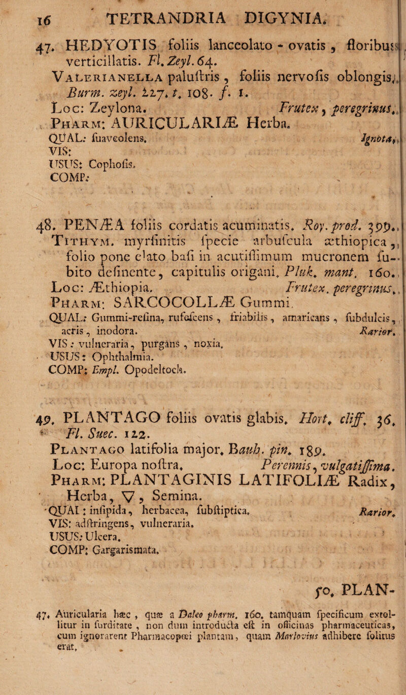 47. HEDYOTIS foliis knceolato - ovatis 5 floribus verticiilatis. Fl. Zeyl. 64. Valerxanella paluftris, foliis nervofis oblongis, Burm. zeyl. izj.t. 108• /• i. Loc: Zeylona. Frutex, peregrinus. , Pharm: AlJRICULARIiE Herba. QtlAL: fuaveolens, Ignota, VIS: usus: Copliofo, COMP; 48. PEN/EA foliis cordatis acuminatis. Roy.prod. Tithym. myrfinitis lpecie arbufcula sethiopica 5 folio pone elato bafi in acutiffimum mucronem fu-, bito definente, capitulis origani, Pluk. mant. 160. Loc: ,/Ethiopia. Frutex. peregrinus.. Pharm: SARCOCQLL.E Gummi. QU AL; Gummi-reiina, mfefcejis, friabilis, amaricans, fubdulcis, acris, inodora. Rarior. VIS : vulneraria, purgans , noxia. USUS: Ophthalmia. COMP: EmpL Opodeltoch. 4P. PLANTAGO foliis ovatis gkbis. Hortf cliff‘ 36, *■ Fl. Suec. 112,. Plantago latifolia major* Bauh. pin. igp. Loc: Europa noftra* Perennis, ‘vulgatijjima. Pharm: PLANTAGINIS LATIFOLIA Radix, Herba, V ? Semina. 'QUAI: infipida, herbacea, fubftiptica. Rarior. VIS: adffringens, vulneraria, USUS; Ulcera. COMP: Gargaris mata. yo* PLAN- 47, Auricularia Hsc , qu® a Dafeo pharm. 160. tamquam fpecificura extol¬ litur in furditate , non dum introdu&a eft in officinas pharmaceuticas, cum ignorarent Pharraacopcei plantam, quam Marlovius adhibere Politus erat. .