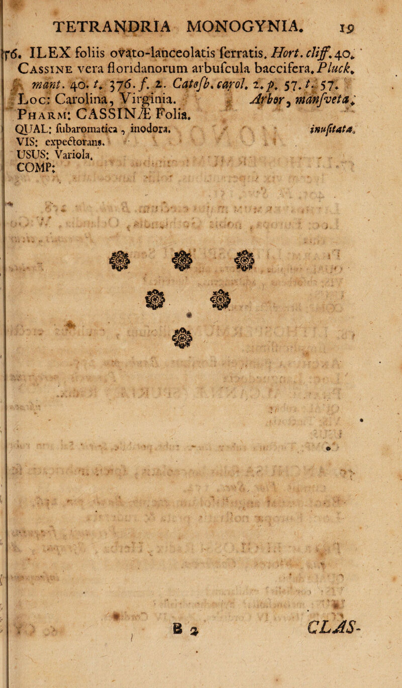 : TETRANDRIA MONOGYNIA. 15 f<S. ILEX foliis ovato-lanceolatis ferratis* Hort. cliff.qo* ‘ Cassine vera floridanorum arbufcula baccifera,P/^£* mant. 40. t4. 376.f, z. Catefb.carol. i.p. 57*/..'57* Loc; Carolina, Virginia. jlrbw ^ manfveta; Pharm: GASSINiL Folia. I Qt JAL: fubaromatka , inodora. inuptata, VIS: expectorans, i USUS: Variola. ' COMP; 'Ts. , 'i B % CLJS-