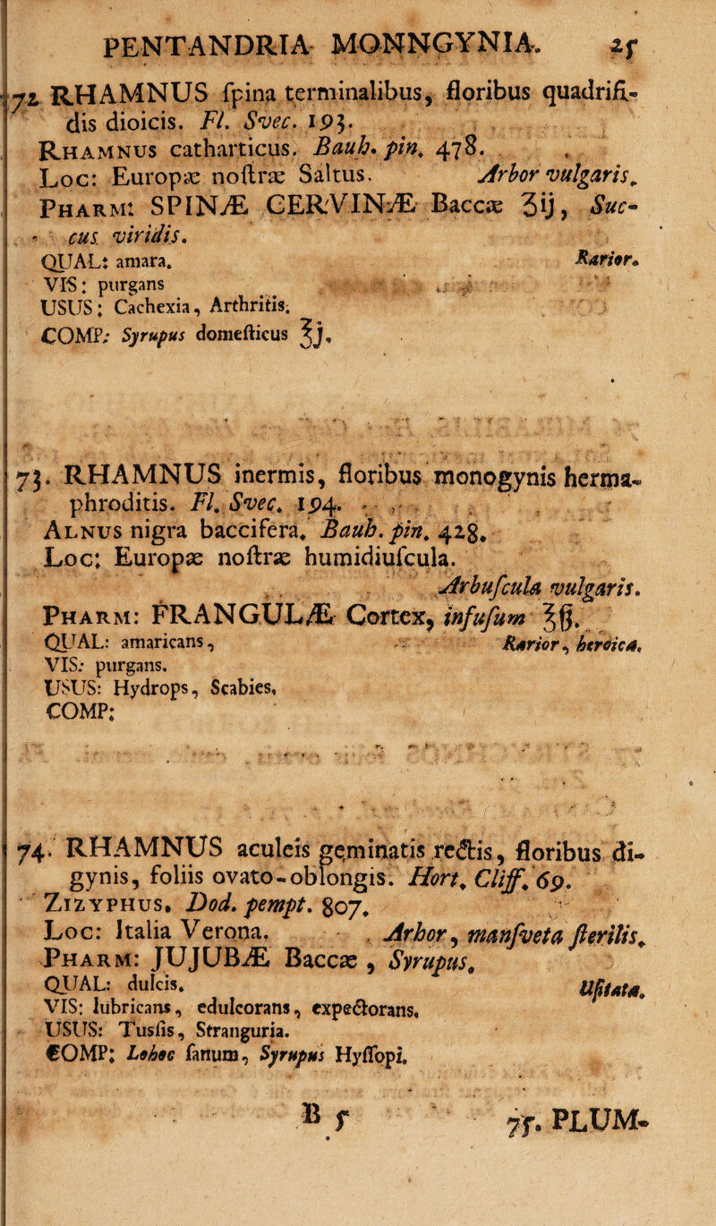 yi RHAMNUS fpina terminalibus, floribus quadrifi,- dis dioicis. FI. Svec. rpj. Rhamnus catharticus. Bauh. pin. 478. Loc: Europae noftrae Saltus. Arbor vulgaris* Pharmi SPINAE CERVINA Baccae 3U, Sus* - cus viridis. QUAL: amara. Rarior» VIS: purgans ^ *j i ; USUS: Cachexia, Arthritis; COMP.* Syrupus domefticus 7L RHAMNUS inermis, floribus monogynis herma¬ phroditis. FI. Svec. I P4. v , ' .. Alnus nigra baccifera* Bauh. pin. 428* Loc; Europae noftrae humidiufcula. Arbufcula vulgaris. Pharm: FRANGUL/E Cortex* infufum QUAL: amaricans, Rarior, beroka, VIS; purgans. USUS: Hydrops, Scabies, COMP; .. . 1 . ' . t yA r V ’ i  ' 74. RHAMNUS aculeis geminatis redtis, floribus ctL gynis, foliis ovato-oblongis. Hortt Cliff. 69. Zizyphus, Dod. pempt. %qtj* Loc: Italia V erona. . Arhor, manfvetfl fi erilis* Pharm: JUJUBiE Baccas , Syrupus# Q1JAL: dulcis* Ufitat*. VIS: lubricans, edulcorans, expe&orans, USUS: Tusfis, Stranguria. €OMP; fanum, Syrupus Hyfibpi, *;r ?f.PLUM-