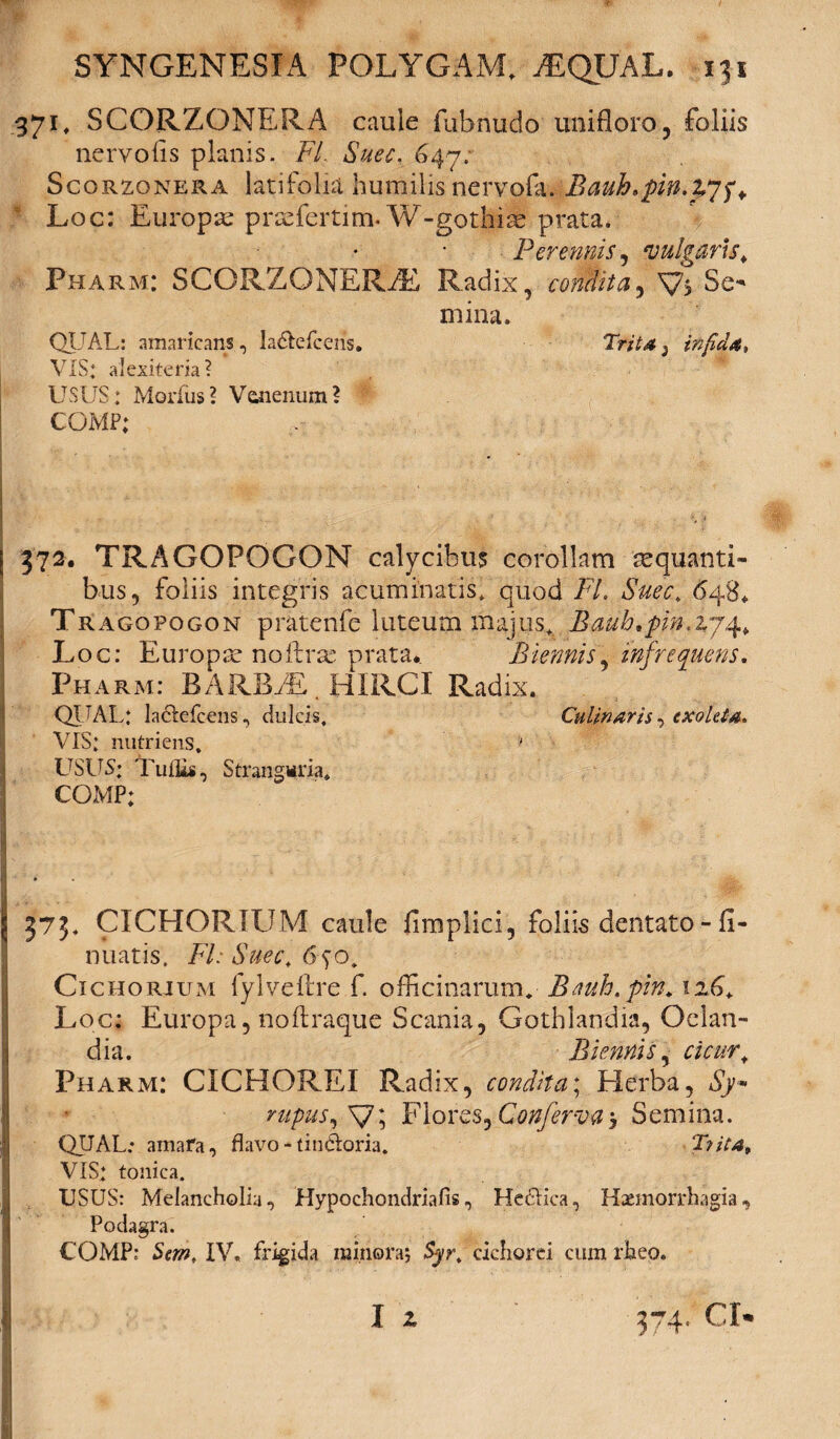 371, SCORZONERA caule fubnudo unifloro, foliis nervo lis planis. FI. Suec. 647; Scorzonera latifolia humilis nervofa. Bauh*pin,£754 Loc: Europa praefertim* W-gotbiae prata. Perennis, vulgaris«, Pharm: SCORZONERAE Radix, conflit a, V> Se¬ mina. QIJAL: amaricans, la&efcens. TWta; infida, VIS: alexiteria? USUS: Modus? Venenum? comp: | 372. TRAGOPOGON calycibus corollam aequanti¬ bus, foliis integris acuminatis, quod FL Suec. <548* Tragopogon pratenfe luteum majus. Baub.pin.274, Loc: Europae noftrse prata.. Biennis, infrequens. Pharm: BARBAE. HIRCI Radix. QITAL: laclefcens, dulcis. Culinaris, exoleta. VIS: nutriens. ' USUS: Tuilis, Stranguria. COMP; 573. CICHORIUM caule fimplici, foliis dentato - fi- nuatis. FI: Suec. 6 so. Cichorium fylveftre f. officinarum. Beub.pin. 126. Loc: Europa, noftraque Scania, Gotblandia, Oelan- T\ipviviik rirnr Pharm: CICHOREI Radix, W/fa; Herba, Sy-’ rupus,\J\ Flores,Conferva-, Semina. QUAL; amara, flavo - tin&oria. T?jta, VIS: tonica. USUS: Melancholia, Hypochondriafis, Heciica, Haemorrhagia, Podagra. COMP: Sem, IV, frigida minora; Syr. cichorei cum rheo.