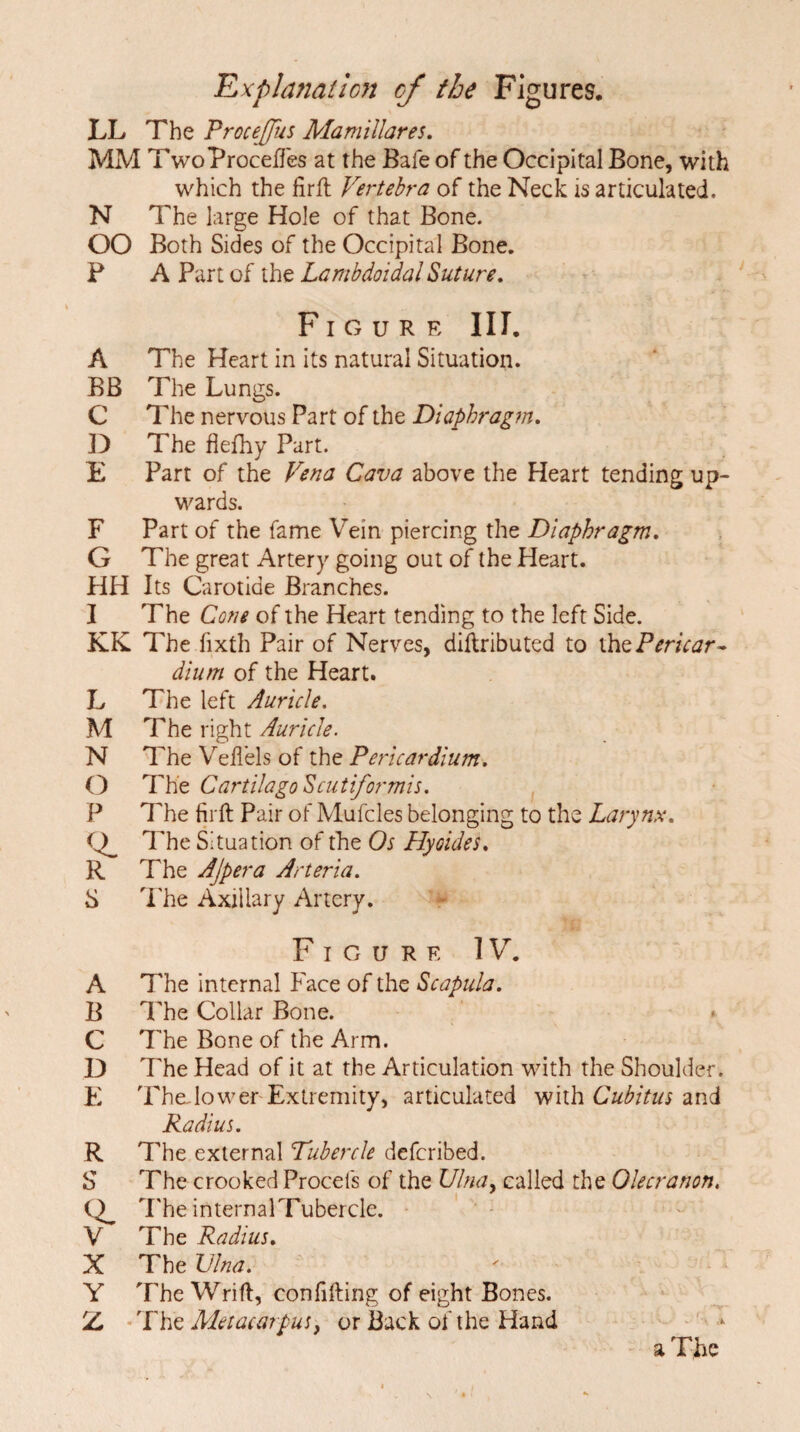 LL The Proceffus Mamtllares. MM TwoProceffes at the Bale of the Occipital Bone, with which the firfl Vertebra of the Neck is articulated. N The large Hole of that Bone. OO Both Sides of the Occipital Bone. P A Part of the Lambdoidal Suture. Figure III. A The Heart in its natural Situation. BB The Lungs. C The nervous Part of the Diaphragm. D The flefhy Part. E Part of the Vena Cava above the Heart tending up¬ wards. F Part of the fame Vein piercing the Diaphragm. G The great Artery going out of the Heart. HH Its Carotide Branches. I The Cone of the Heart tending to the left Side. KK The .fixth Pair of Nerves, diftributed to ihe Pericar~ dium of the Heart. L The left Auricle, M The right Auricle. N The Vellels of the Pericardium. O The CartilagoScutformis. P The firft Pair of Mufcles belonging to the Larynx. The Situation of the Os Hyoides. R The AJpera Arteria. S The Axillary Artery. Figure IV. A The internal Face of the Scapula. B The Collar Bone. • C The Bone of the Arm. D The Head of it at the Articulation with the Shoulder. E The.lower Extremity, articulated with Cubitus and Radius. R The external Tubercle defcribed. S The crooked Procefs of the Ulnay called the Olecranon. Q. T he internalTubercle. V The Radius. X The Ulna. Y The Wrift, confifting of eight Bones. Z The Metacarpus} or Back of the Hand