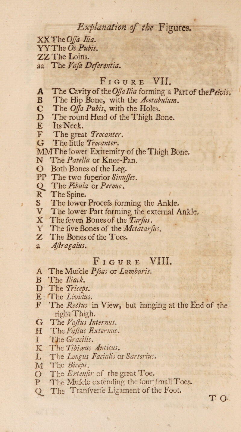 Explanation of the Figures. XX The OJJa Ilia. YYThe Os Pubis. XL The Loins, aa The Vafa Defersntia. Figure VII. A The Cavity of the OJJa Ilia forming a Part of th ePehis. B The Hip Bone, with the Acetabulum. C The OJJa Pubis, with the Holes. D The round Head of the Thigh Bone. E Its Neck. F The great Trocanter. G The little Trocanter. MMThe lower Extremity of the Thigh Bone. N The Patella or Knee-Pan. O Both Bones of the Leg. PP The two fuperior SinuJJes. Q. The Fibula or Per one. R The Spine. t S The lower Procefs forming the Ankle. V The lower Part forming the external Ankle. X Thefeven Bones of the Tarfus. Y The live Bones of the Metatarfus. L The Bones of the Toes. a AJlragalus. Figure VIII. A The Mufcle Pfoas or Lumbaris. B The Iliack. D The Triceps. E The Lividus. F The Reflus in View, but hanging at the End of the right Thigh. G The Vajlus Internus. H The Vajlus Ext emus. I The Gracilis. K The Tibiceus Anticus. L The Longus Facialis ox Sartorius. M The Biceps. O The Extenfor of the great Toe. P The Mufcle extending the four' fmall Toes. o. The Tranfverfe Ligament of the Foot. T O