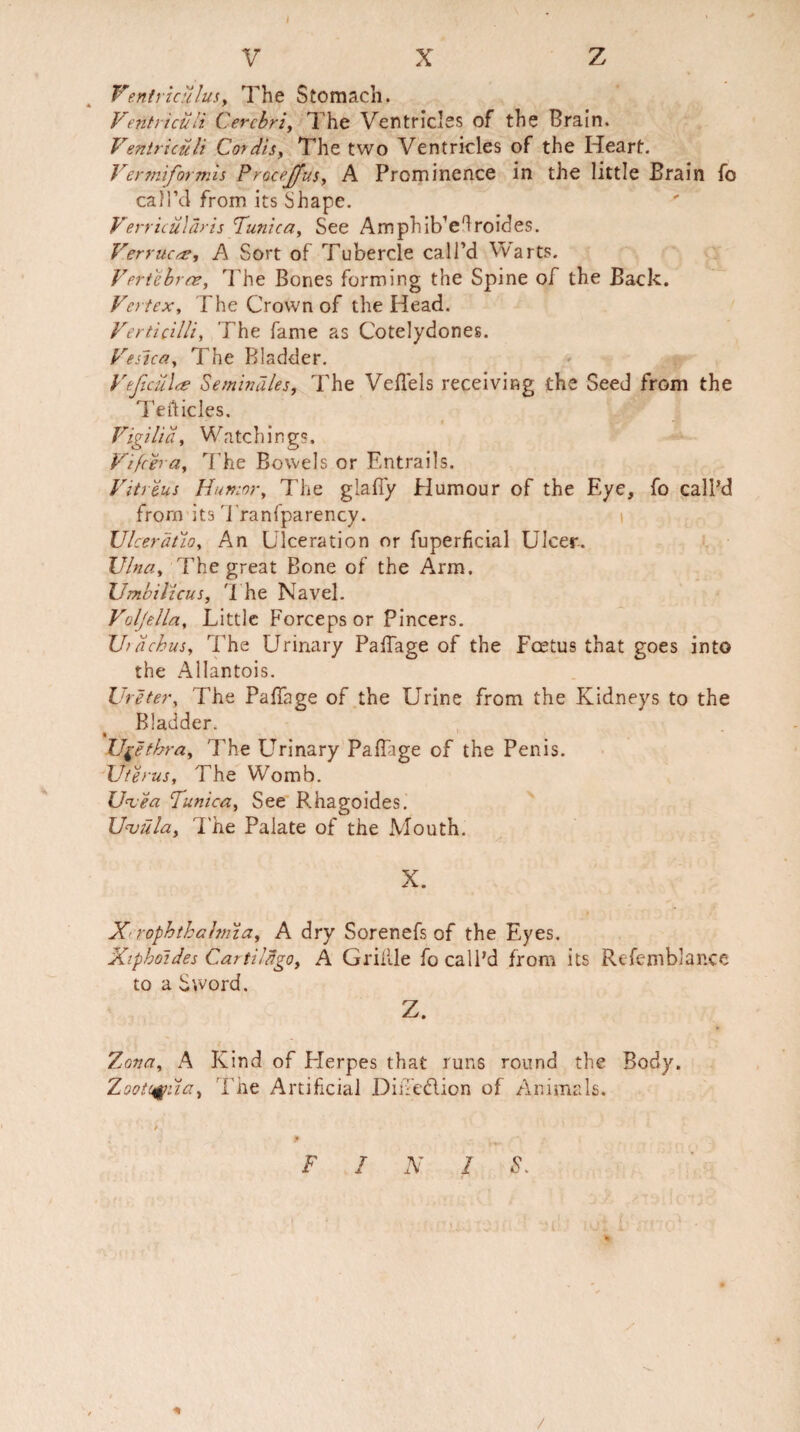 I V X z Ventriculus, The Stomach. Ventriciili Cerebri, The Ventricles of the Brain. Ventriculi Cordis, The two Ventricles of the Heart. Vertniformis Procejfus, A Prominence in the little Brain fo call’d from its Shape. Verricuiaris Tunica, See Amphib’e'lroides. Verruca, A Sort of Tubercle call’d Warts. Vertebrae, The Bones forming the Spine of the Back. Vertex, The Crown of the Head. Vertic'dli, The fame as Cotelydones. Vesica, The Bladder. Veficula Semindles, The Veflels receiving the Seed from the Tefticles. Vigilid, Watchings. Vifcera, The Bowels or Entrails. Vit reus Humor, The giaffy Humour of the Eye, fo call’d from its Tranfparency. XJlceratio, An Ulceration or fuperficial Ulcer. Vina, The great Bone of the Arm. Umbilicus, The Navel. Voljella, Little Forceps or Pincers. U> debus. The Urinary PafTage of the Foetus that goes into the Allantois. Ureter, The PafTage of the Urine from the Kidneys to the Bladder. * Urethra, The Urinary PafTage of the Penis. Uterus, The Womb. Uvea Tunica, See Rhagoides. Uvula, The Palate of the Mouth. X. X rophthalmia, A dry Sorenefs of the Eyes. Xiphoides Cartildgo, A Griille fo call’d from its Refemblar.ee to a Sword. Z. Zona, A Kind of Herpes that runs round the Body. Zootuj/iia, 'The Artificial DilTedtion of Animals. / F I N 1 S. /