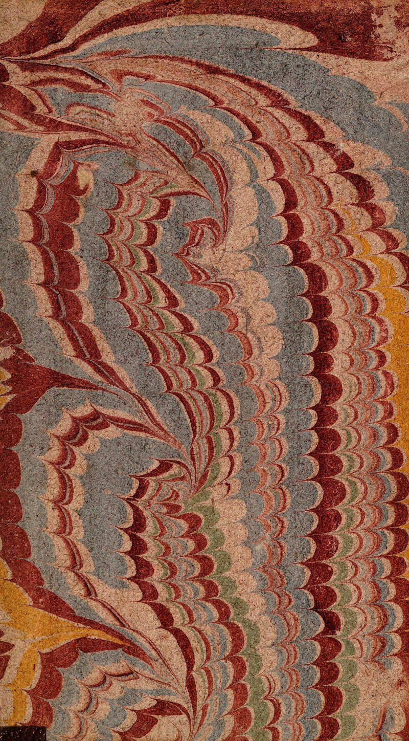 No text description is available for this image