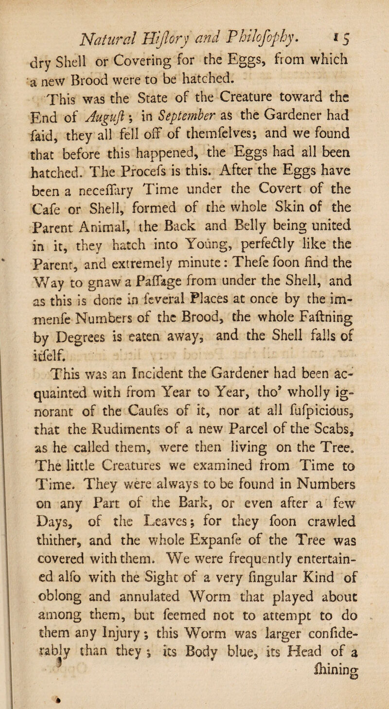 dry Shell or Covering for the Eggs, from which a new Brood were to be hatched. This was the State of the Creature toward the End of Auguft; in September as the Gardener had faid, they all fell off of themfelves; and we found that before this happened, the Eggs had all been hatched. The Procefs is this. After the Eggs have been a neceffary Time under the Covert of the Cafe or Shell, formed of the whole Skin of the Parent Animal, the Back and Belly being united in it, they hatch into Young, perfe&ly like the Parent, and extremely minute: Thefe foon find the Way to gnaw a Paffage from under the Shell, and as this is done in fcveral Places at once by the im- menfe Numbers of the Brood, the whole Faftning by Degrees is eaten away, and the Shell falls of itfelf. This was an Incident the Gardener had been ac¬ quainted with from Year to Year, tho* wholly ig¬ norant of the Caufes of it, nor at all fufpicious, that the Rudiments of a new Parcel of the Scabs, as he called them, were then living on the Tree* The little Creatures we examined from Time to Time. They were always to be found in Numbers on any Part of the Bark, or even after a few Days, of the Leaves; for they foon crawled thither, and the whole Expanfe of the Tree was covered with them. We were frequently entertain¬ ed alfo with the Sight of a very lingular Kind of oblong and annulated Worm that played about among them, but feemed not to attempt to do them any Injury; this Worm was larger confide- rably than they ; its Body blue, its Plead of a * Aiming