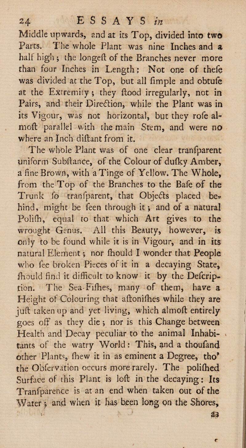 Middle upwards, and at its Top, divided into two Parts. The whole Plant was nine Inches and a half high * the longed of the Branches never more than four Inches in Length: Not one of thefe was divided at the Top, but all dmple and obtufe at the Extremity * they dood irregularly, not in Pairs, and their Direction, while the Plant was in its Vigour, was not horizontal, byt they rofe ai¬ med parallel with the main Stem, and were no where an Inch didant from it. The whole Plant was of one clear tranfparent uniform Subdance, of the Colour of dufky Amber, a fine Brown, with a Tinge of Yellow. The Whole, from the Top of the Branches to the Bafe of the Trunk fo tranfparent, that Objects placed be* hind, might be feen through it•, and of a natural Polifh, equal to that which Art gives to the wrought Genus. All this Beauty, however, is only to be found while it is in Vigour, and in its natural Element; nor fhould I wonder that People who fee broken Pieces of it in a decaying State, fhould find it difficult to know it by the Defcrip- tion. The Sea-Fiffies, many of them, have a Height of Colouring that adoniffies while they are juft taken up and yet living, which almod entirely goes off as they die ; nor is this Change between Health and Decay peculiar to the animal Inhabi- » tants of the watry World: This, and a thoufand other Plants, fhew it in as eminent a Degree, tho* the Obfervation occurs more rarely. The polifhed Surface of this Plant is loft in the decaying: Its Tranfparence is at an end when taken out of the Water y and when it has been lorjg on the Shores,