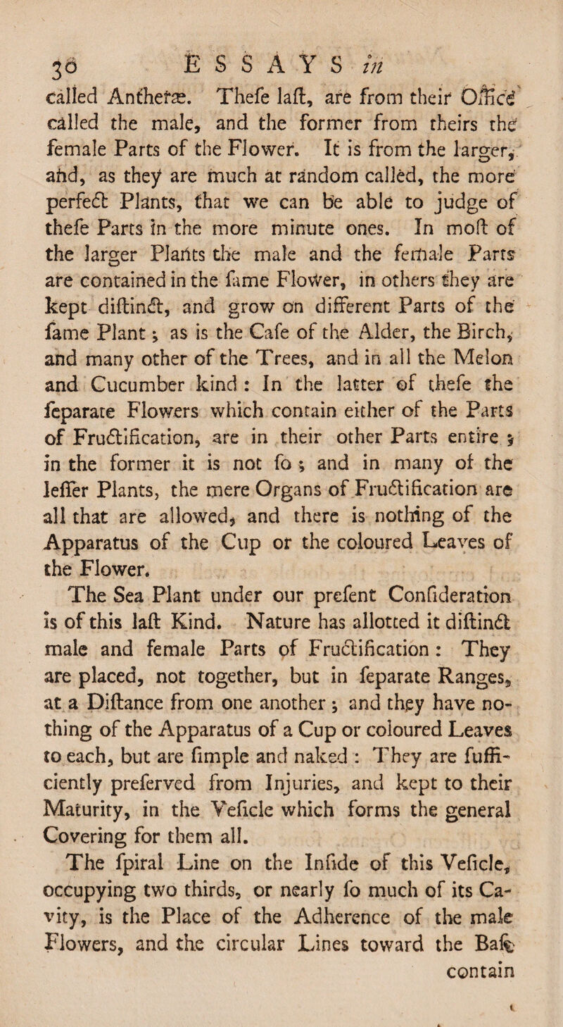 called Anfhefs. Thefe laft, are from their O/Hcd called the male, and the former from theirs the female Parts of the Flower. It is from the larger, afrd, as they are much at random called, the more perfeCb Plants, that we can be able to judge of thefe Parts in the more minute ones. In moll: of the larger Plartts the male and the female Parts are contained in the fame Flower, in others they are kept diftindt, and grow on different Parts of the fame Plant; as is the Cafe of the Alder, the Birch, and many other of the Trees, and in all the Melon and Cucumber kind : In the latter of thefe the feparate Flowers which contain either of the Parts of Frudfification, are in their other Parts entire j in the former it is not fo ; and in many of the lefter Plants, the mere Organs of Fructification are all that are allowed, and there is nothing of the Apparatus of the Cup or the coloured Leaves of the Flower. The Sea Plant under our prefent Confideration is of this laft Kind. Nature has allotted it diftinCl male and female Parts of Fructification : They are placed, not together, but in feparate Ranges, at a Diftance from one another ; and they have no¬ thing of the Apparatus of a Cup or coloured Leaves to each, but are (imple and naked : They are fufE- ciently preferved from Injuries, and kept to their Maturity, in the Veftcle which forms the general Covering for them all. The fpiral Line on the Innde of this Veficle, occupying two thirds, or nearly fo much of its Ca¬ vity, is the Place of the Adherence of the male Flowers, and the circular Lines toward the Bafe contain