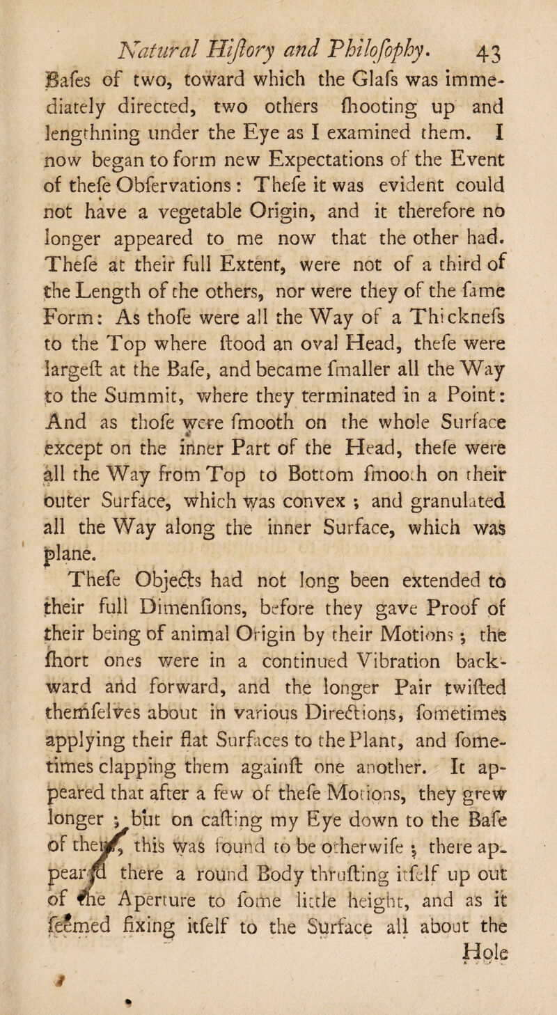 Bafcs of two, toward which the Glafs was imme¬ diately directed, two others (hooting up and lengthning under the Eye as I examined them. I now began to form new Expectations of the Event of thefe Obfervations : Thefe it was evident could not have a vegetable Origin, and it therefore no longer appeared to me now that the other had. Thefe at their full Extent, were not of a third of the Length of the others, nor were they of the fame Form: As thofe were all the Way of a Thicknefs to the Top where flood an oval Head, thefe were largeft at the Bafe, and became fmaller all the Way to the Summit, where they terminated in a Point: And as thofe were fmooth on the whole Surface 4§ except on the inner Part of the Head, thefe were all the Way from Top to Bottom fmooh on rheir outer Surface, which was convex *, and granulated all the Way along the inner Surface, which was plane. Thefe Objedls had not long been extended to their full Dimenfions, before they gave Proof of their being of animal Origin by their Motions *, the (hort ones were in a continued Vibration back¬ ward and forward, and the longer Pair twilled themfelves about in various Diredions, fometimes applying their flat Surfaces to the Plant, and fome¬ times clapping them againfl one another. It ap¬ peared that after a few of thefe Morions, they grew longer ; but on cafling my Eye down to the Bafe of the«£ this was found to be otherwife *, there ap~ pearp there a round Body thrufting itfcdf up out of $ie Aperture to fome little height, and as it Teemed fixing itfelf to the Surface all about the