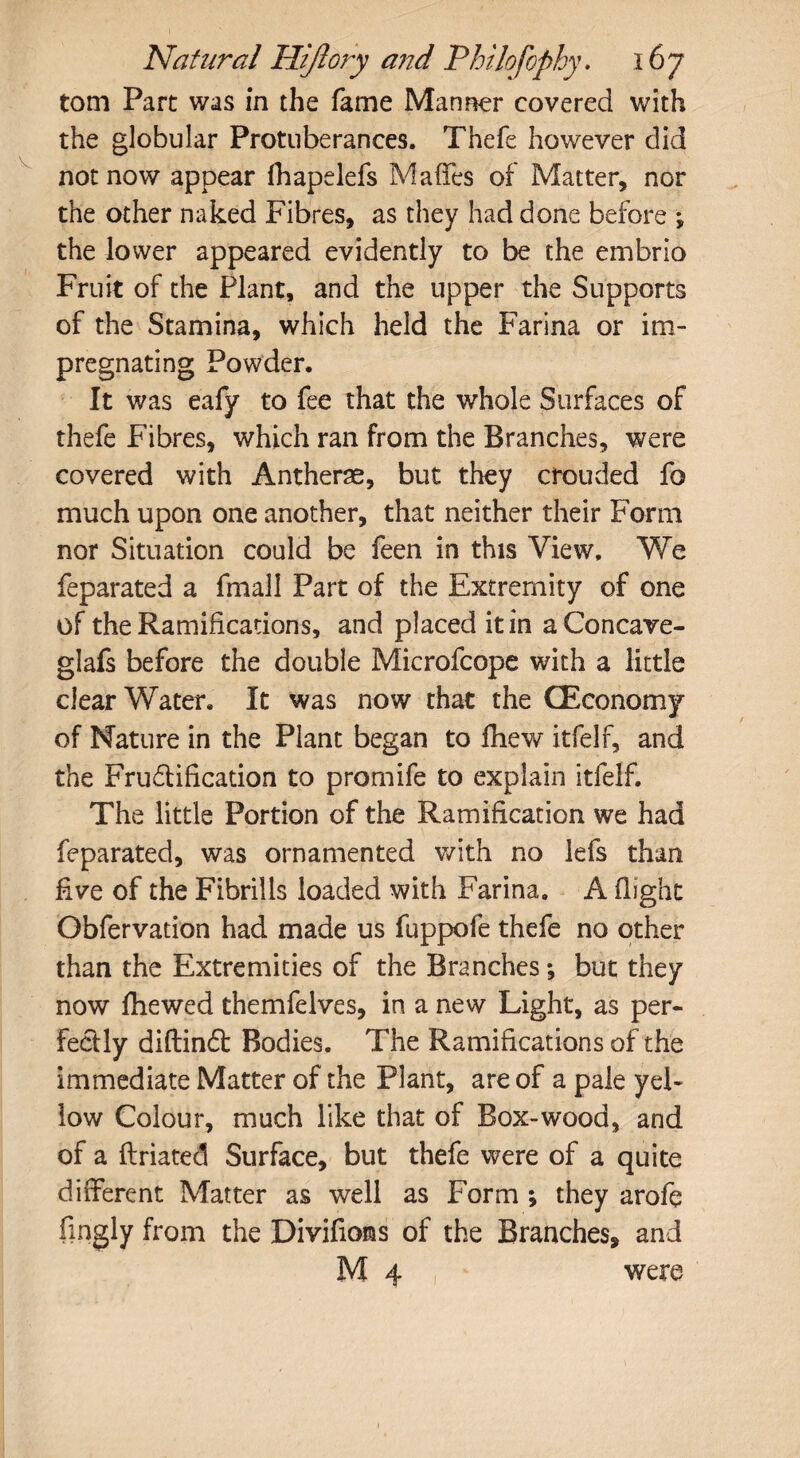 tom Part was in the fame Manner covered with the globular Protuberances. Thefe however did not now appear fhapelefs Maffes of Matter, nor the other naked Fibres, as they had done before ; the lower appeared evidently to be the embrio Fruit of the Plant, and the upper the Supports of the Stamina, which held the Farina or im¬ pregnating Powder. It was eafy to fee that the whole Surfaces of thefe Fibres, which ran from the Branches, were covered with Antherse, but they cfouded fo much upon one another, that neither their Form nor Situation could be feen in this View. We feparated a fmall Part of the Extremity of one of the Ramifications, and placed it in aConcave- glafs before the double Microfcope with a little clearWater. It was now that the (Economy of Nature in the Plant began to fhew itfelf, and the Fructification to promife to explain itfelf. The little Portion of the Ramification we had feparated, was ornamented with no lefs than five of the Fibrills loaded with Farina. A flight Obfervation had made us fuppofe thefe no other than the Extremities of the Branches*, but they now fhewed themfelves, in a new Light, as per¬ fectly diftinCt Bodies. The Ramifications of the immediate Matter of the Plant, are of a pale yel¬ low Colour, much like that of Box-wood, and of a ftriated Surface, but thefe were of a quite different Matter as well as Form ; they arofe fingly from the Divifions of the Branches, and M 4 were