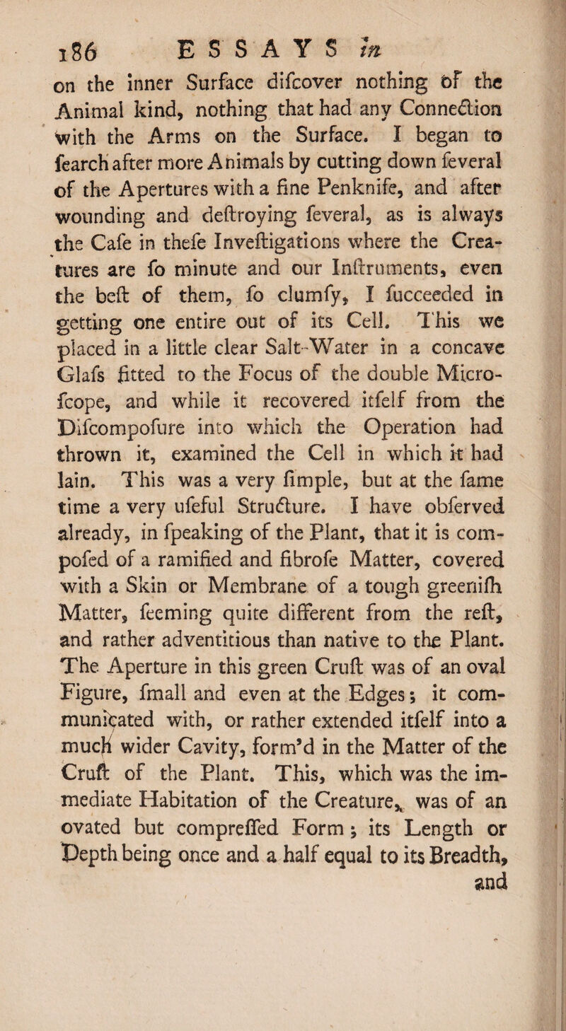 on the inner Surface difcover nothing of the Animal kind, nothing that had any Connection with the Arms on the Surface. I began to fearch after more Animals by cutting down feveral of the Apertures with a fine Penknife, and after wounding and deftroying feveral, as is always the Cafe in thefe Inveftigations where the Crea¬ tures are fo minute and our Inftruments, even the beft of them, fo clumfy, I fucceeded in getting one entire out of its Cell. This we placed in a little clear Salt-Water in a concave Glafs fitted to the Focus of the double Micro- fcope, and while it recovered itfelf from the Difcompofure into which the Operation had thrown it, examined the Cell in which k had lain. This was a very fimple, but at the fame time a very ufeful Stru&ure. I have obferved already, in fpeaking of the Plant, that it is com- pofed of a ramified and fibrofe Matter, covered with a Skin or Membrane of a tough greenifh Matter, feeming quite different from the reft, and rather adventitious than native to the Plant. The Aperture in this green Cruft was of an oval Figure, fmall and even at the Edges; it com¬ municated with, or rather extended itfelf into a much wider Cavity, form’d in the Matter of the Cruft of the Plant. This, which was the im¬ mediate Habitation of the Creature* was of an ovated but comprefled Form; its Length or Depth being once and a half equal to its Breadth, and