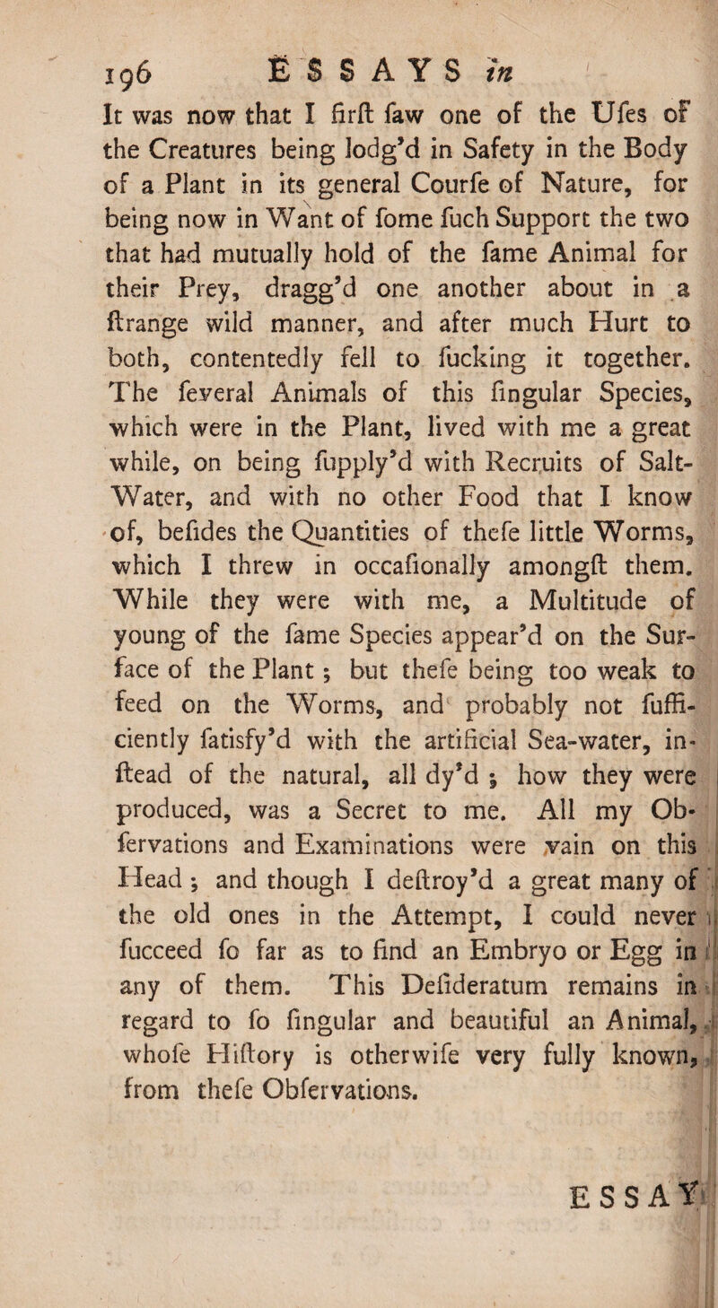 It was now that I firft faw one of the Ufes of the Creatures being lodg’d in Safety in the Body of a Plant in its general Courfe of Nature, for being now in Want of fome fuch Support the two that had mutually hold of the fame Animal for their Prey, dragg’d one another about in a flrange wild manner, and after much Hurt to both, contentedly fell to fucking it together. The feveral Animals of this fingular Species, which were in the Plant, lived with me a great while, on being fupply’d with Recruits of Salt- Water, and with no other Food that I know of, befides the Quantities of thefe little Worms, which I threw in occafionally amongfl them. While they were with me, a Multitude of young of the fame Species appear’d on the Sur¬ face of the Plant; but thefe being too weak to feed on the Worms, and probably not fuffi- ciently fatisfy’d with the artificial Sea-water, in- Read of the natural, all dy’d ; how they were produced, was a Secret to me. All my Ob- fervations and Examinations were vain on this Head ; and though I deftroy’d a great many of the old ones in the Attempt, I could never ; fucceed fo far as to find an Embryo or Egg in any of them. This Defideratum remains in regard to fo fingular and beautiful an Animal, whofe Eliftory is other wife very fully known, from thefe Obfervations. ESSAY